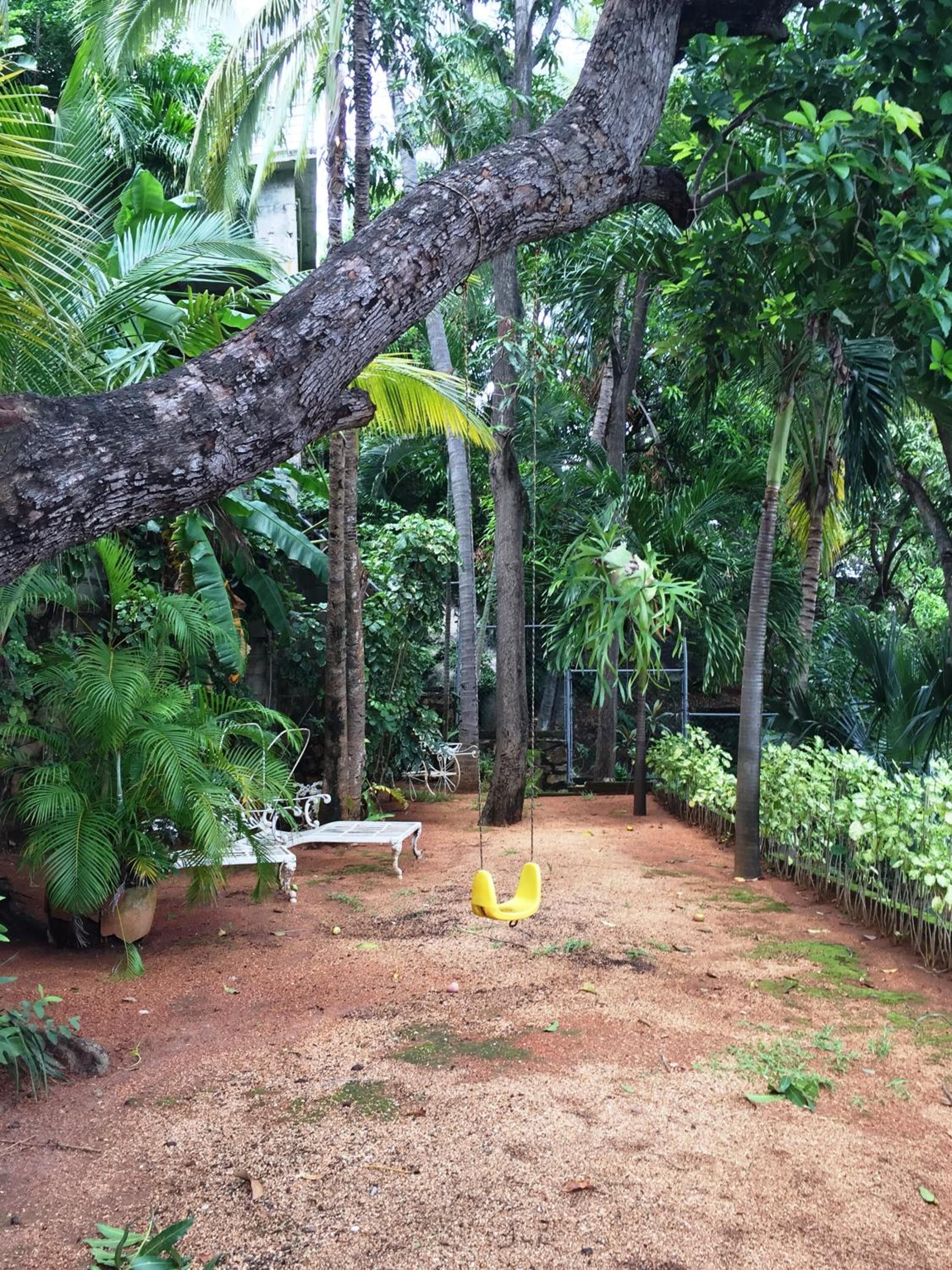 Photo 20