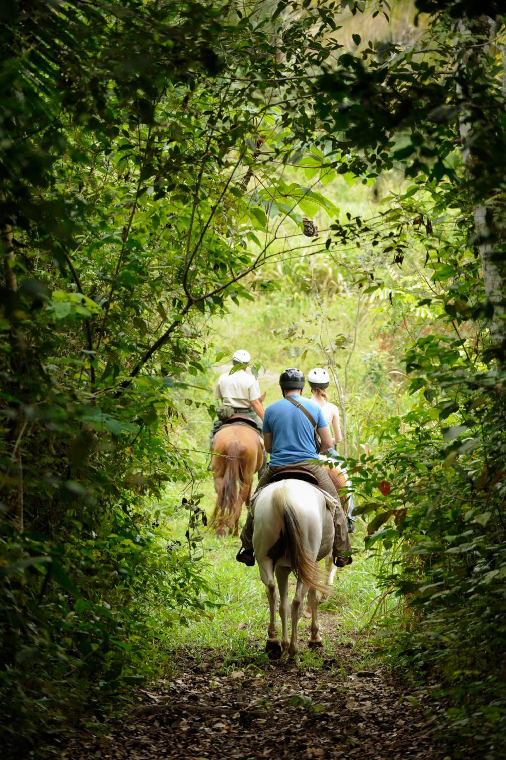 Belize Vacations - The Lodge at ChaaCreek - Property Image 5