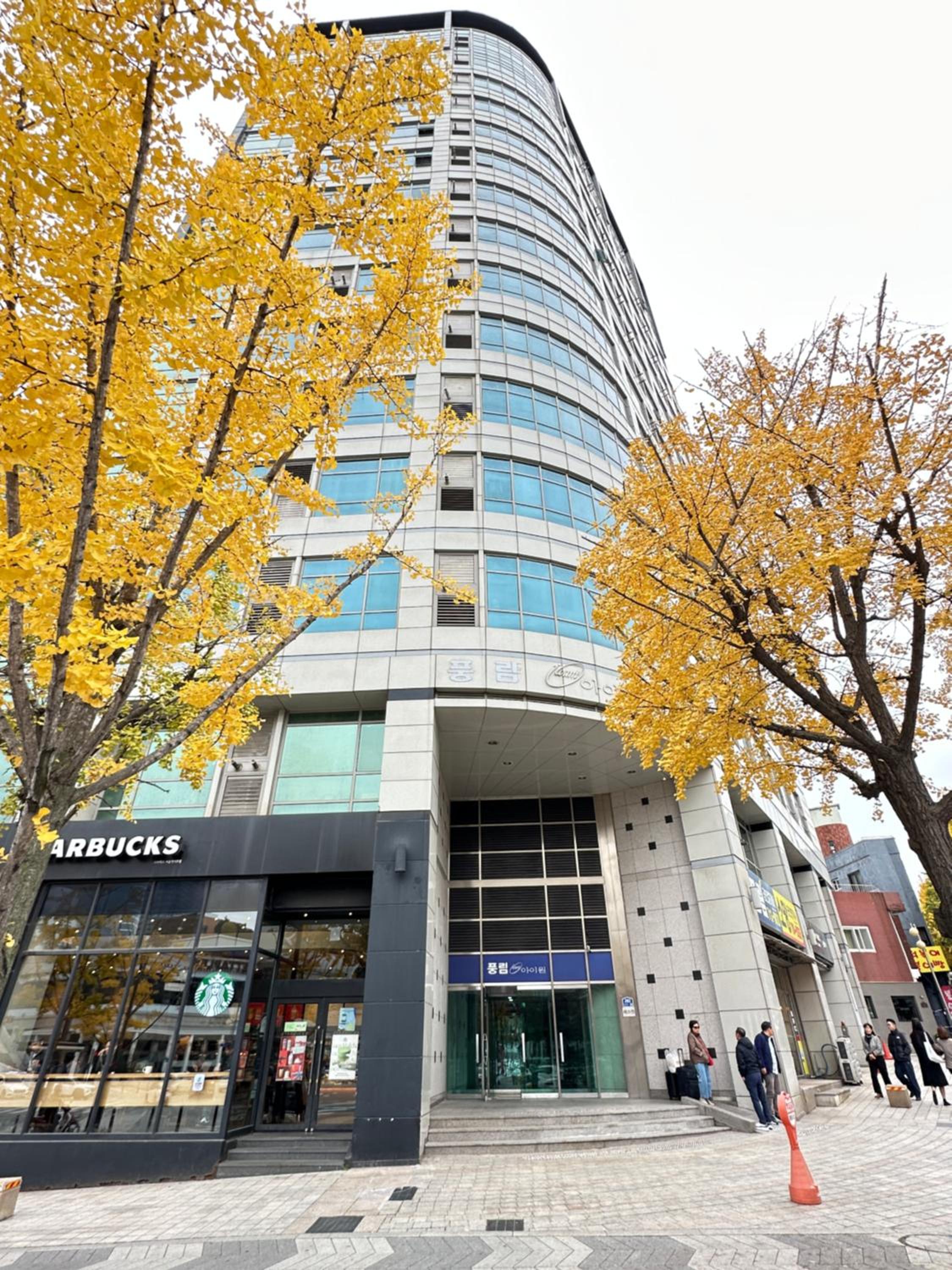 Central Seoul loft apartment