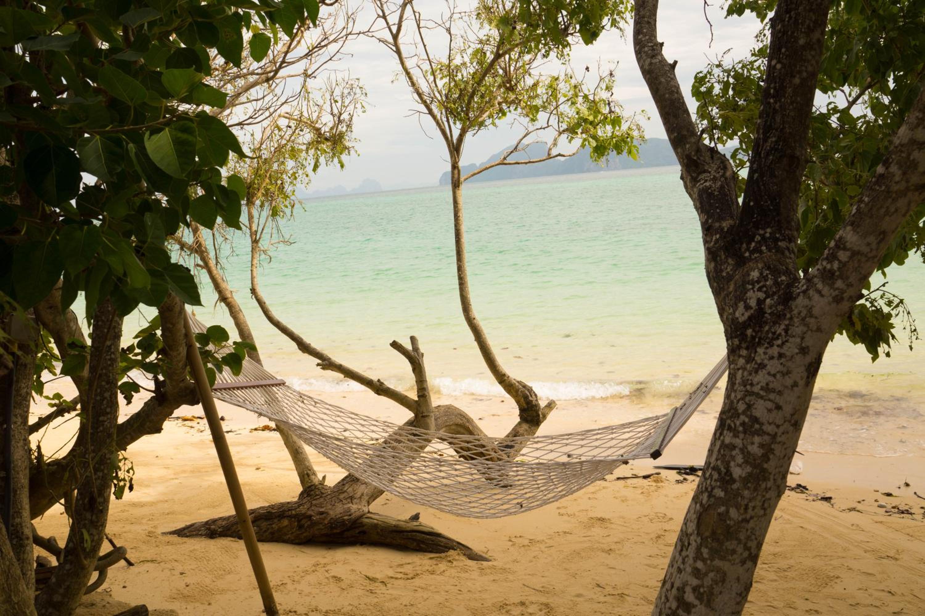 The Reef Resort