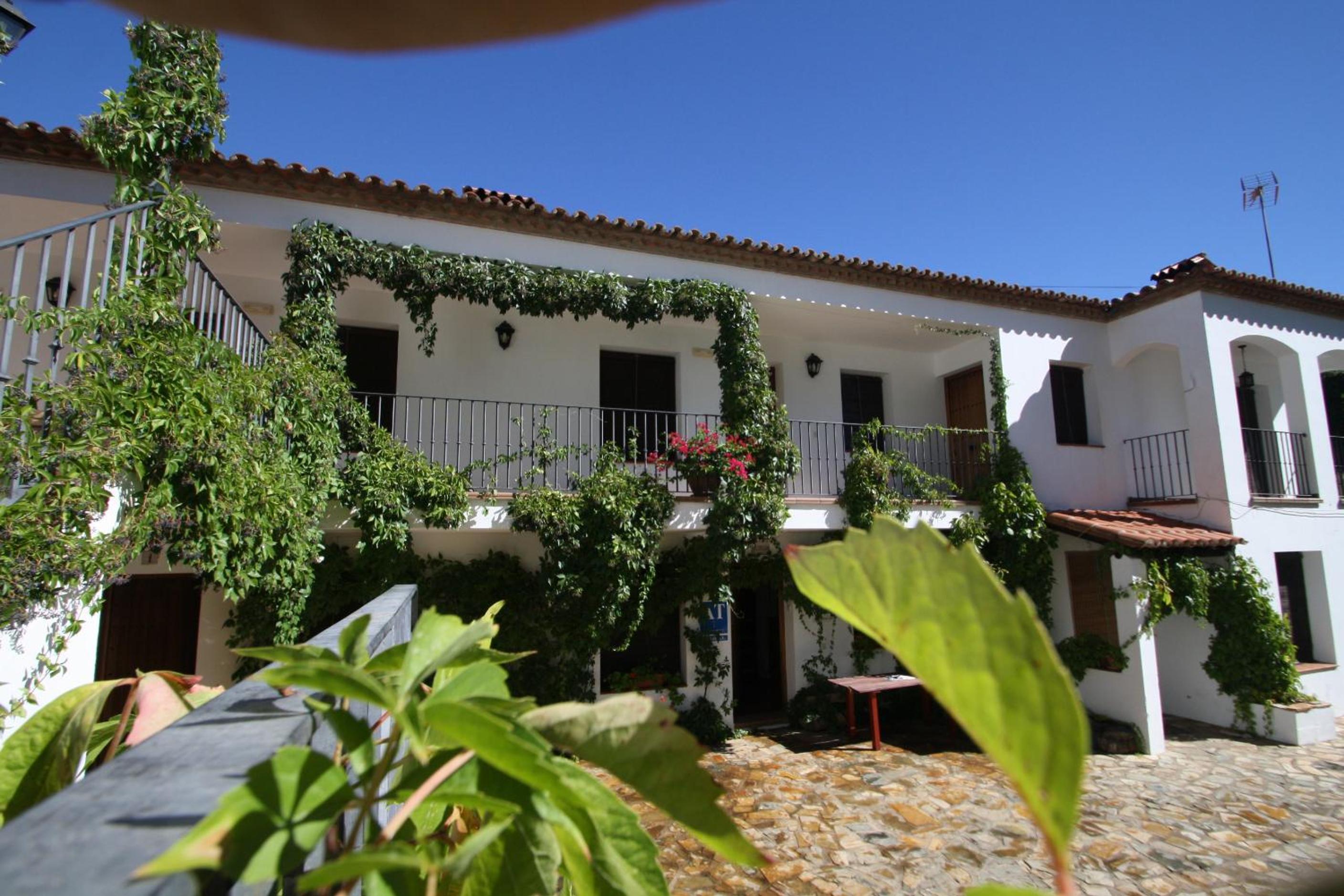 Apartamento Rural Las Palmeras view 2
