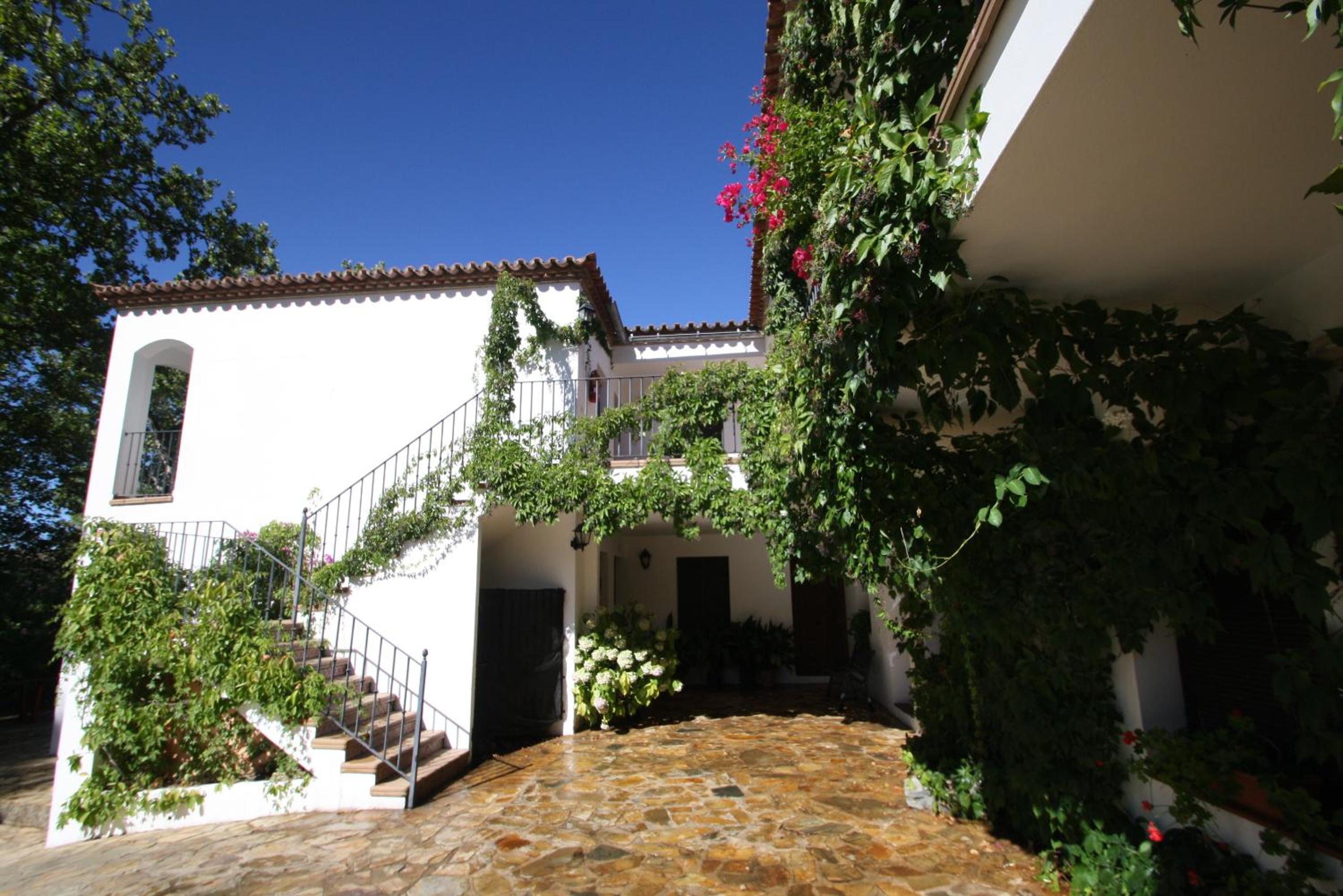 Apartamento Rural Las Palmeras view 3
