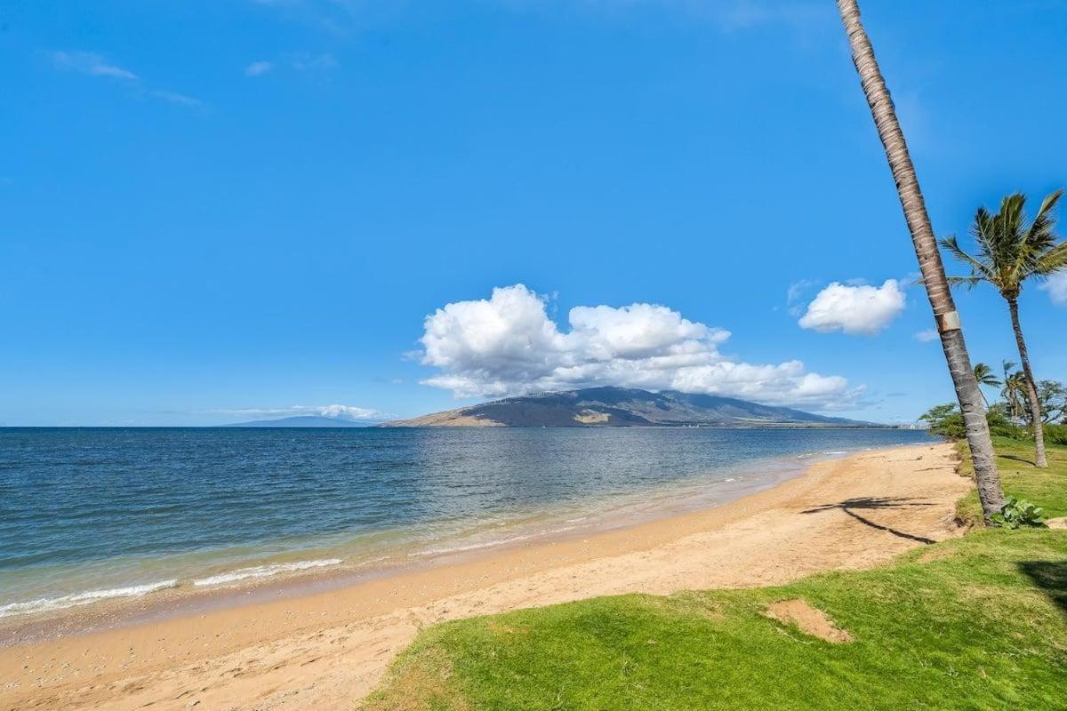 Maui Sunset A404 · MSN A404 OceanFront Remodeled Condo