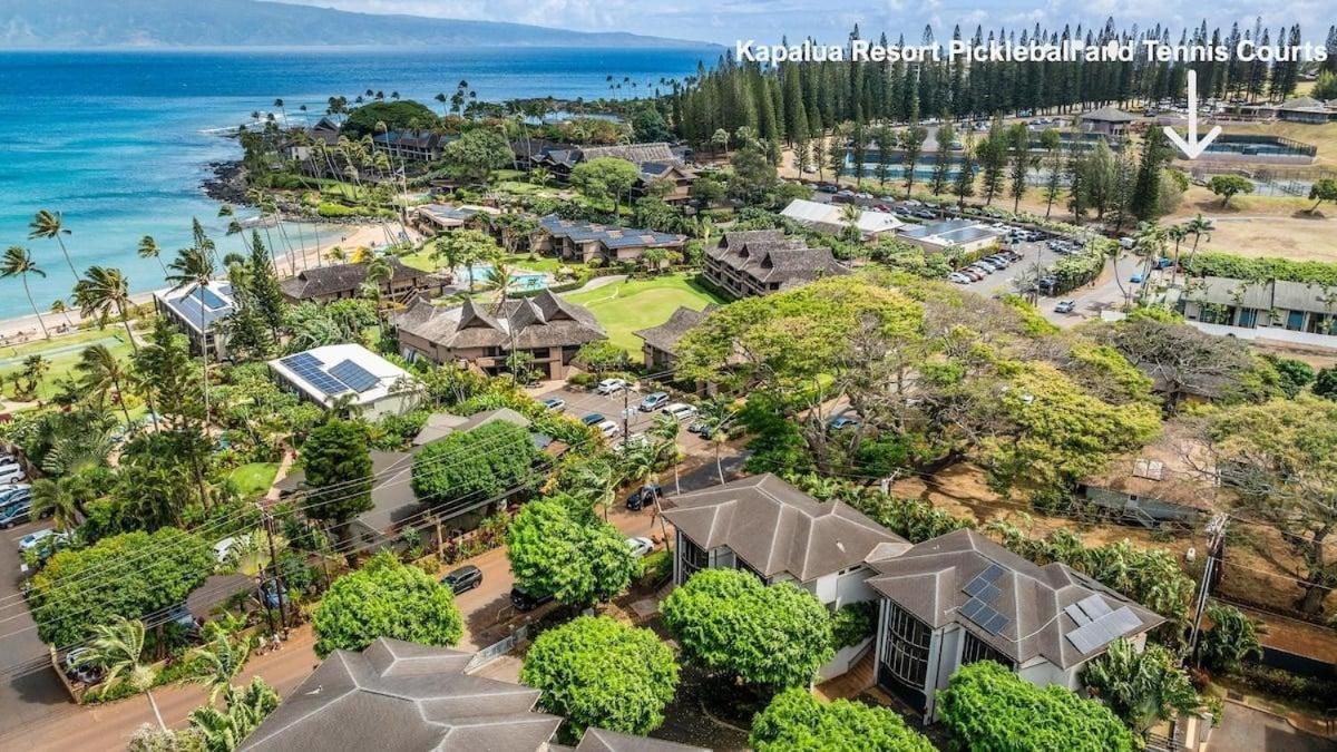Napili Point C22 · NP C22 Oceanfront Views from 2BD West Maui Co
