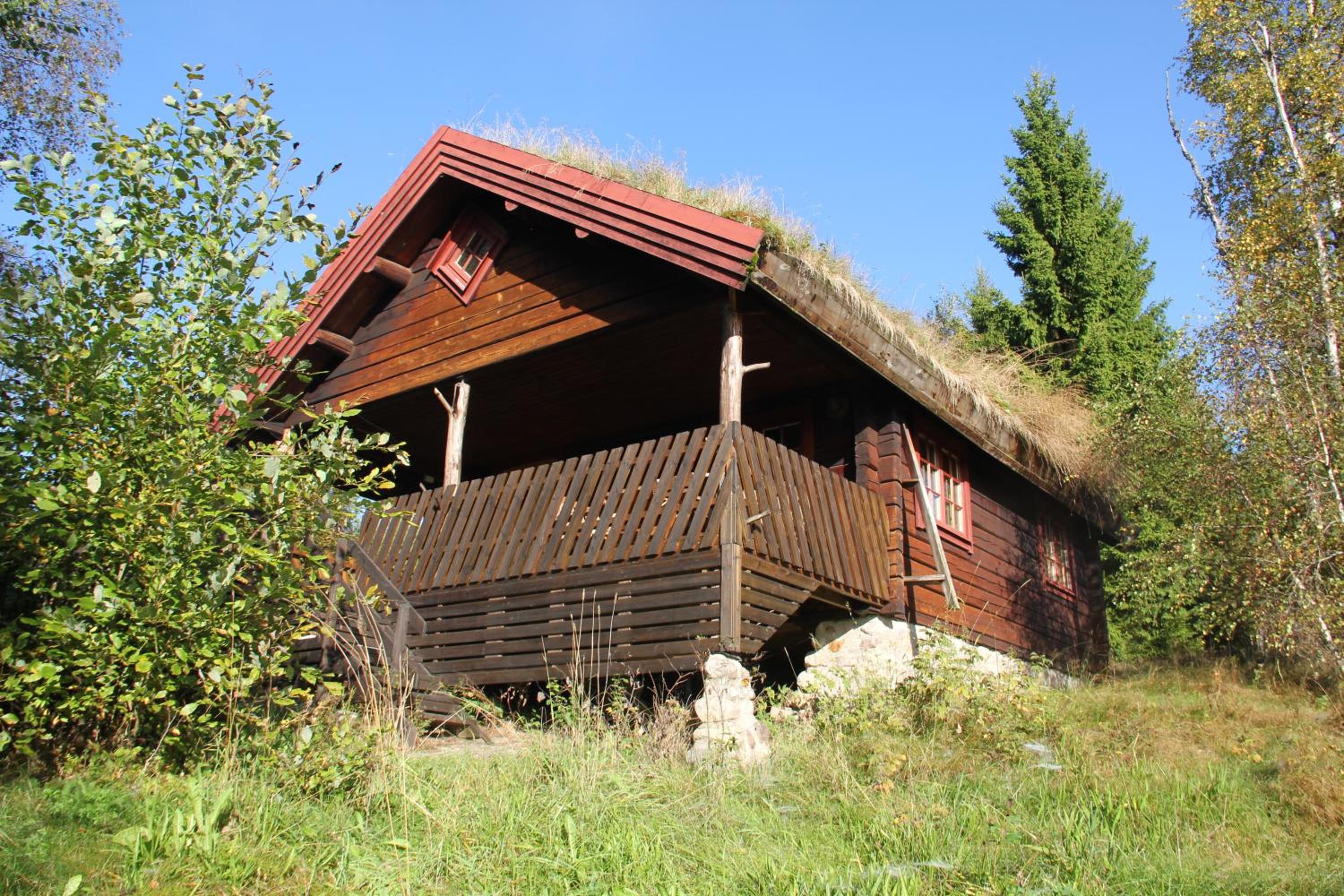 Photo 19