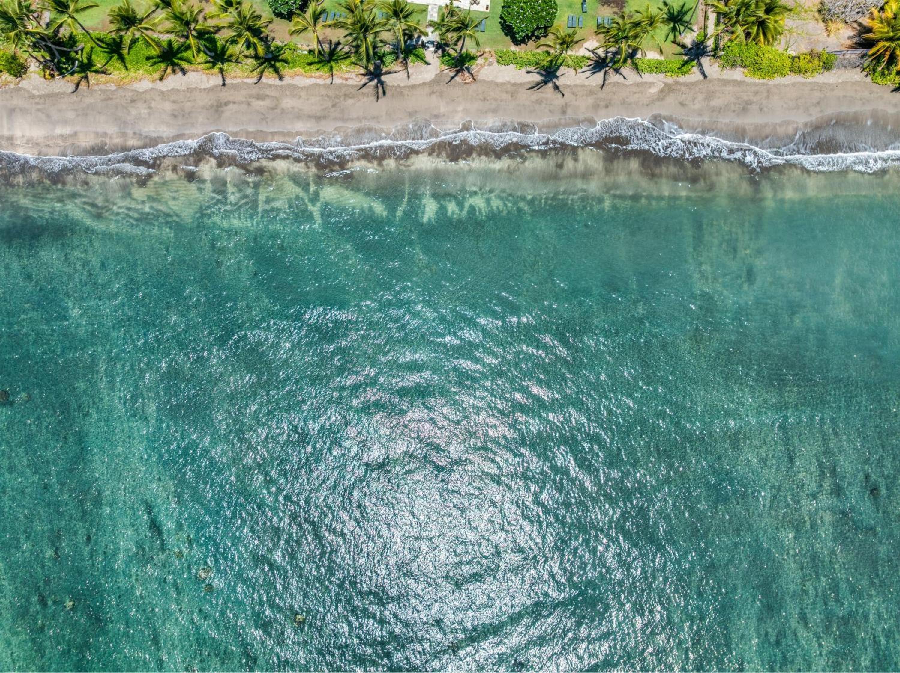 Lahaina Shores 607 · LS 607 Beachfront Remodeled Studio Stunnin