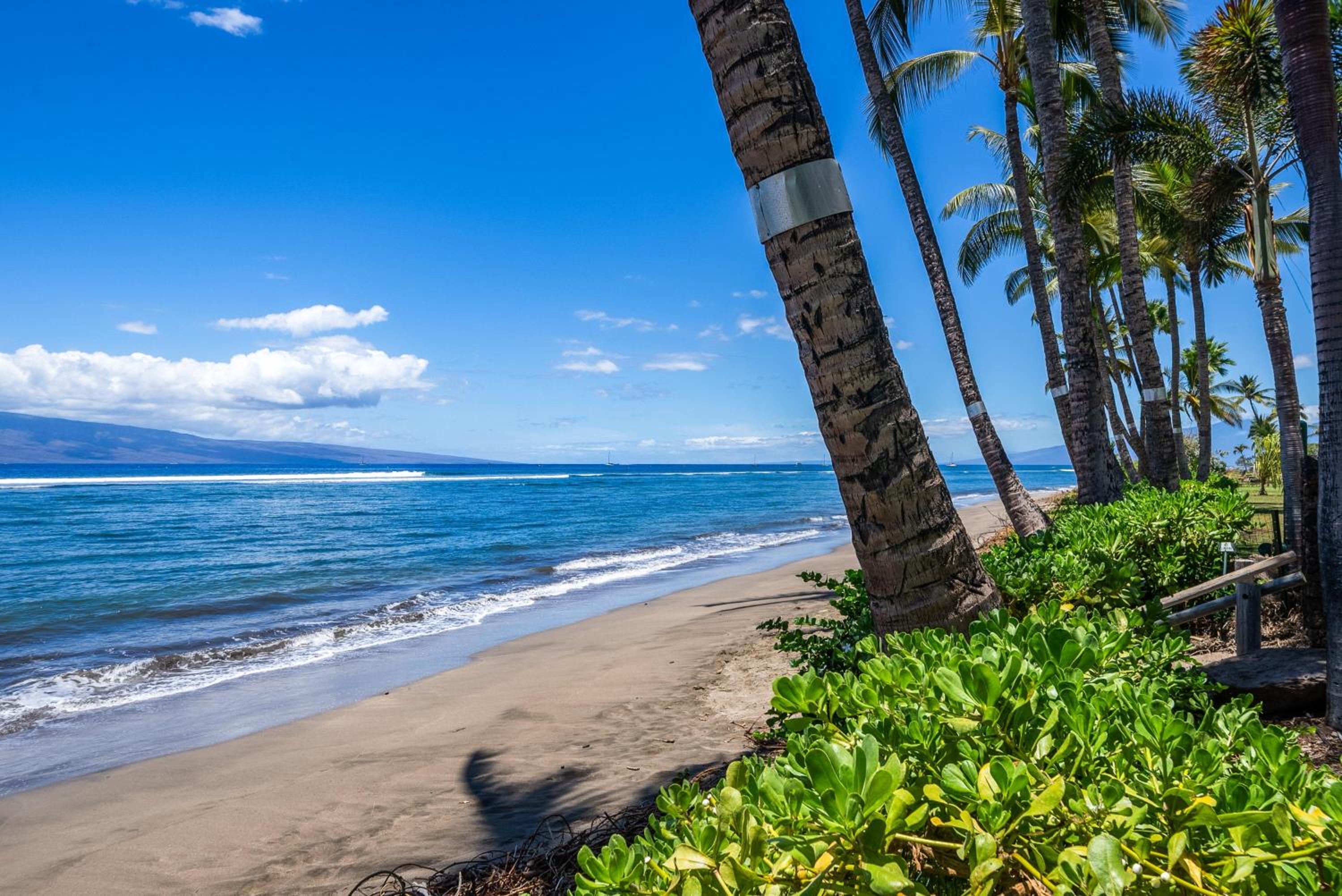 Lahaina Shores 413 · LS 413 Breathtaking Beachfront Remodeled St