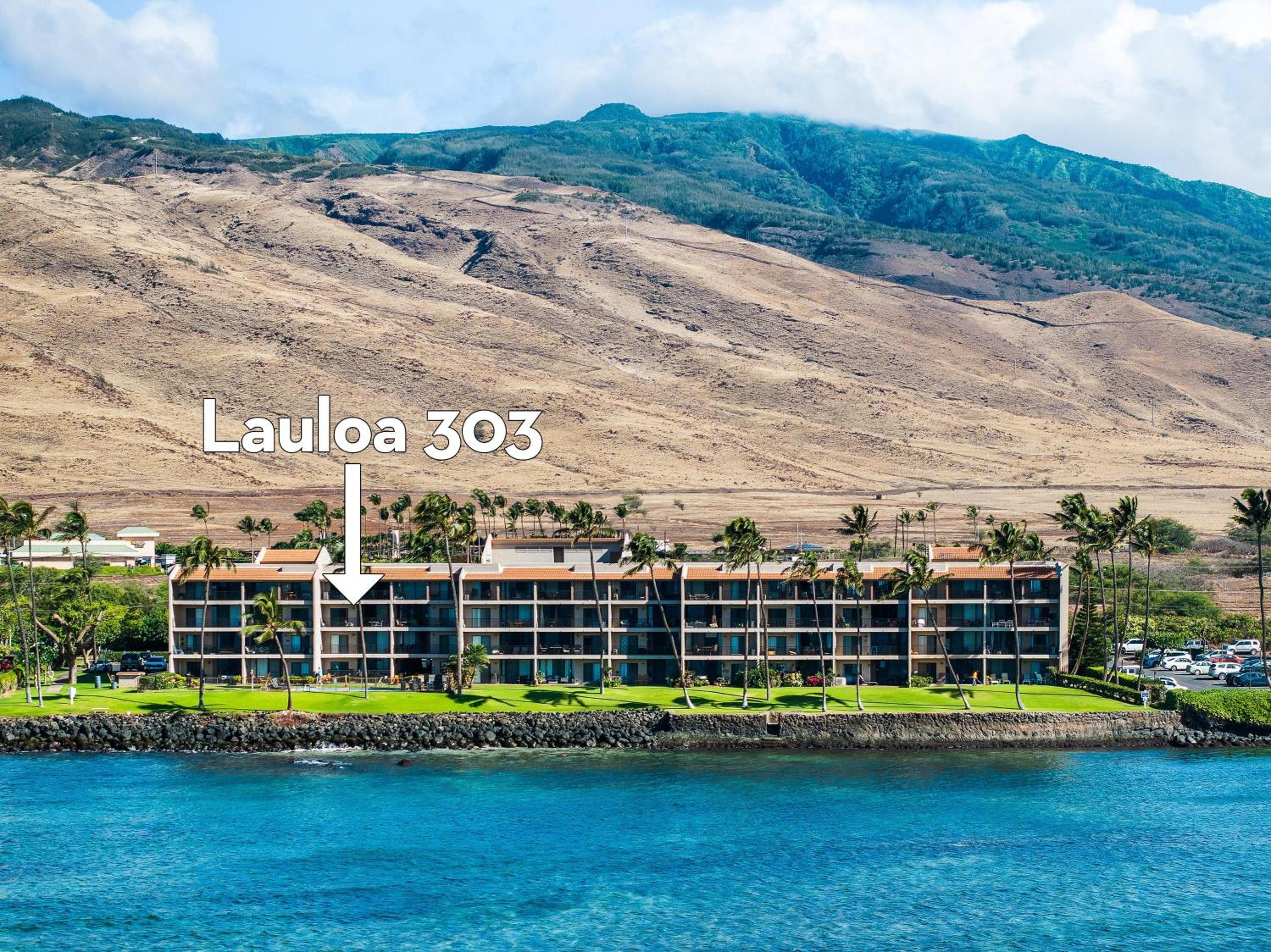 Lauloa 303