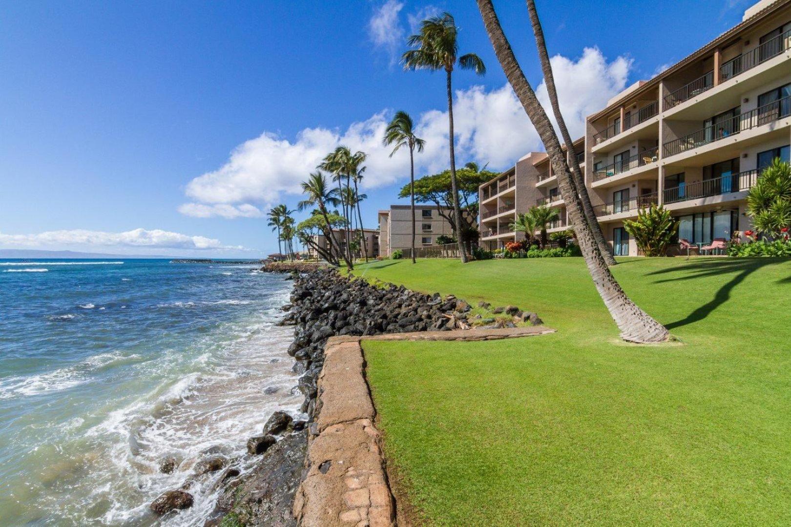 Lauloa 303