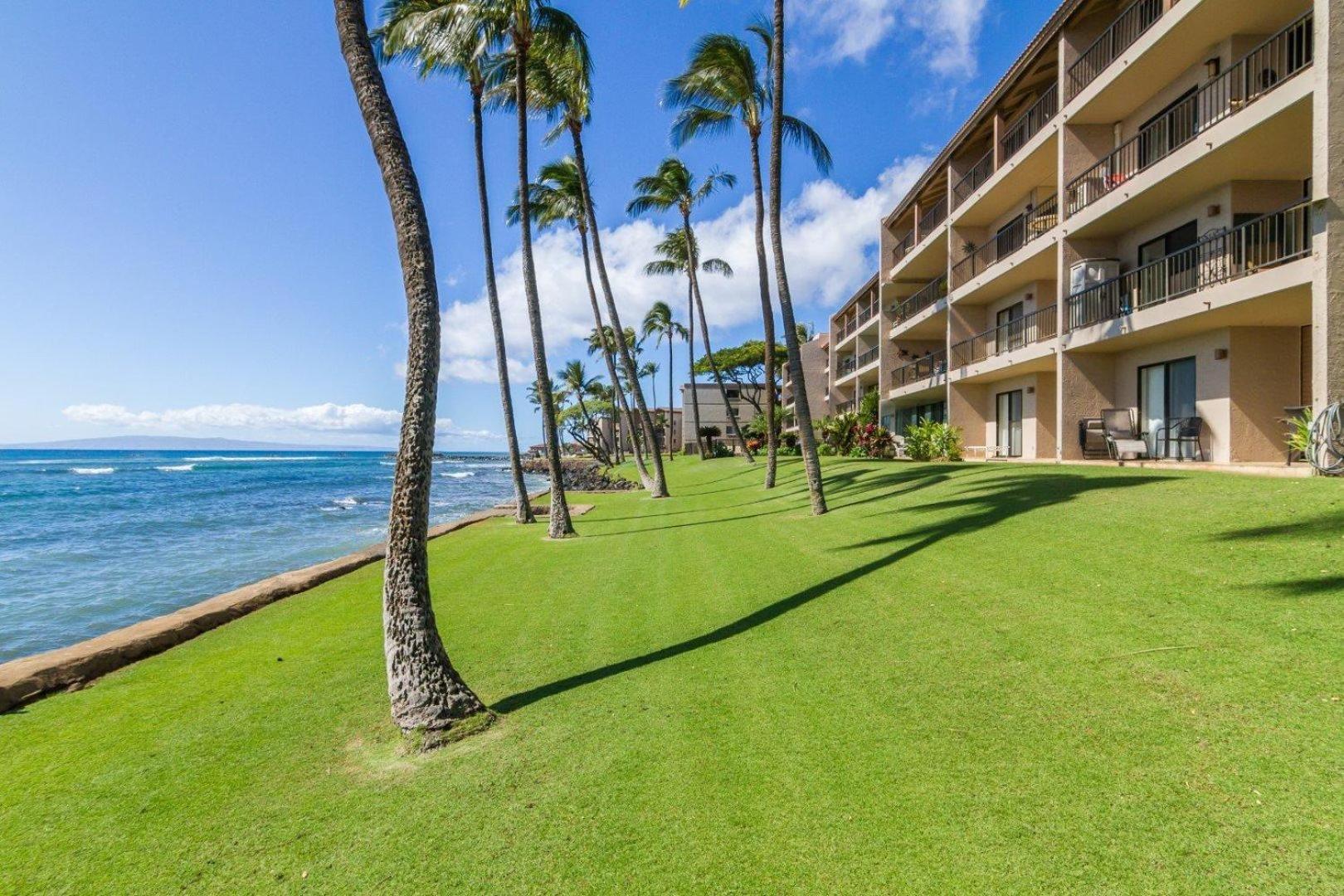 Lauloa 303