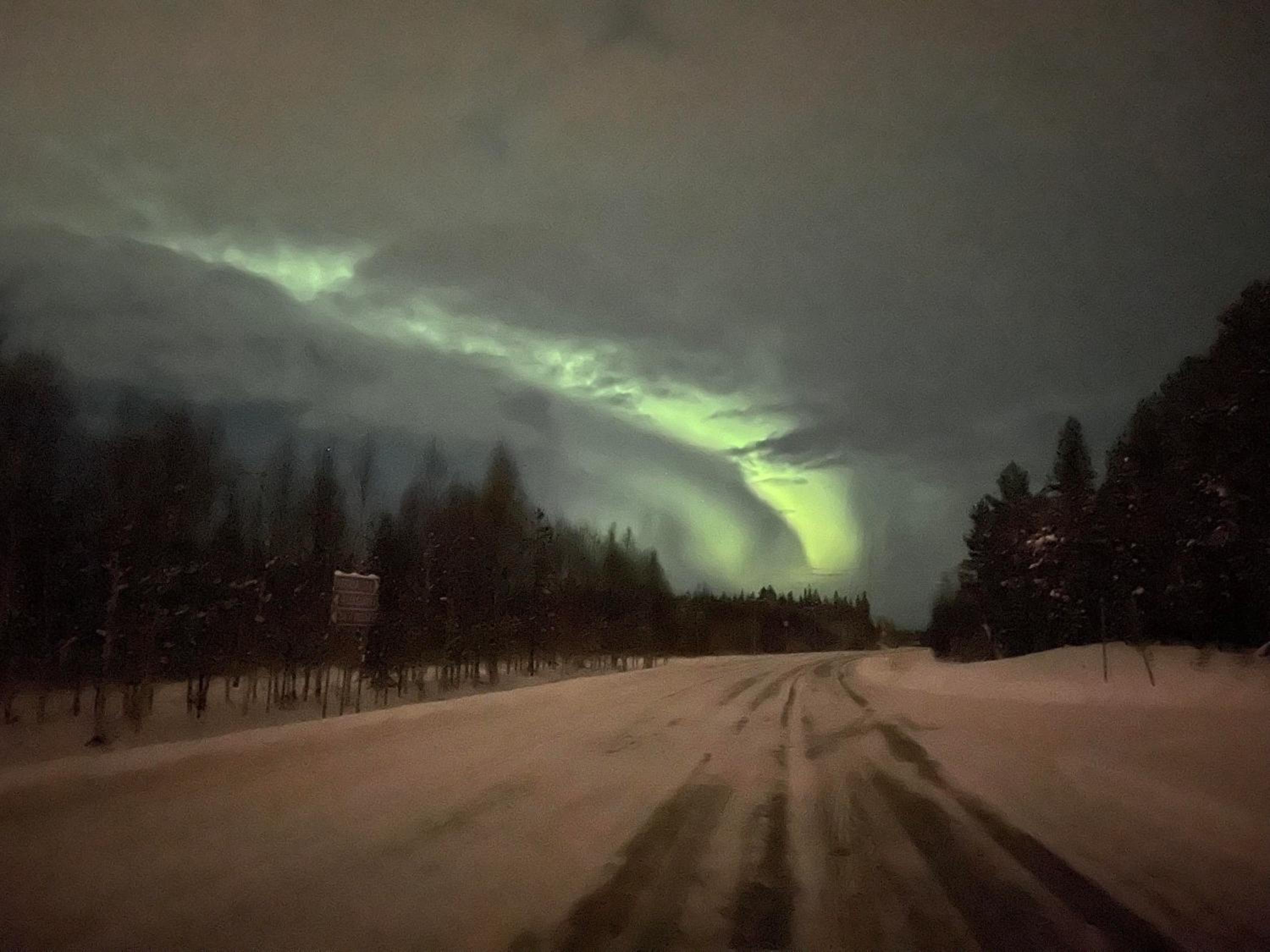 Arctic Willamo Studio- Rovaniemi