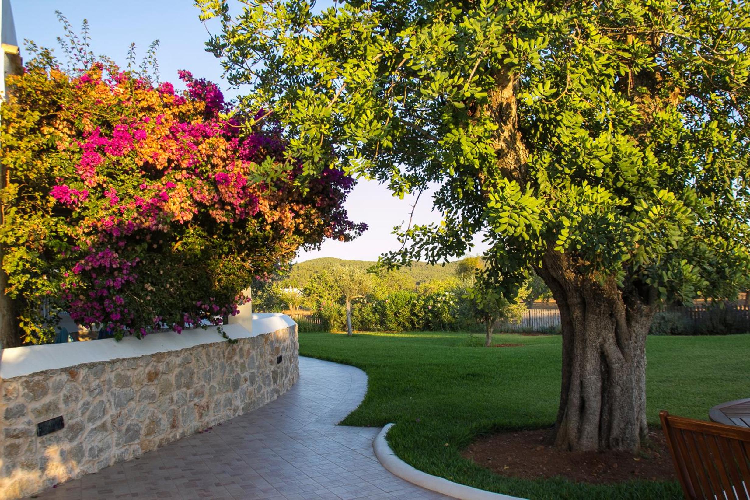 Agroturismo Sa Vinya d'en Palerm