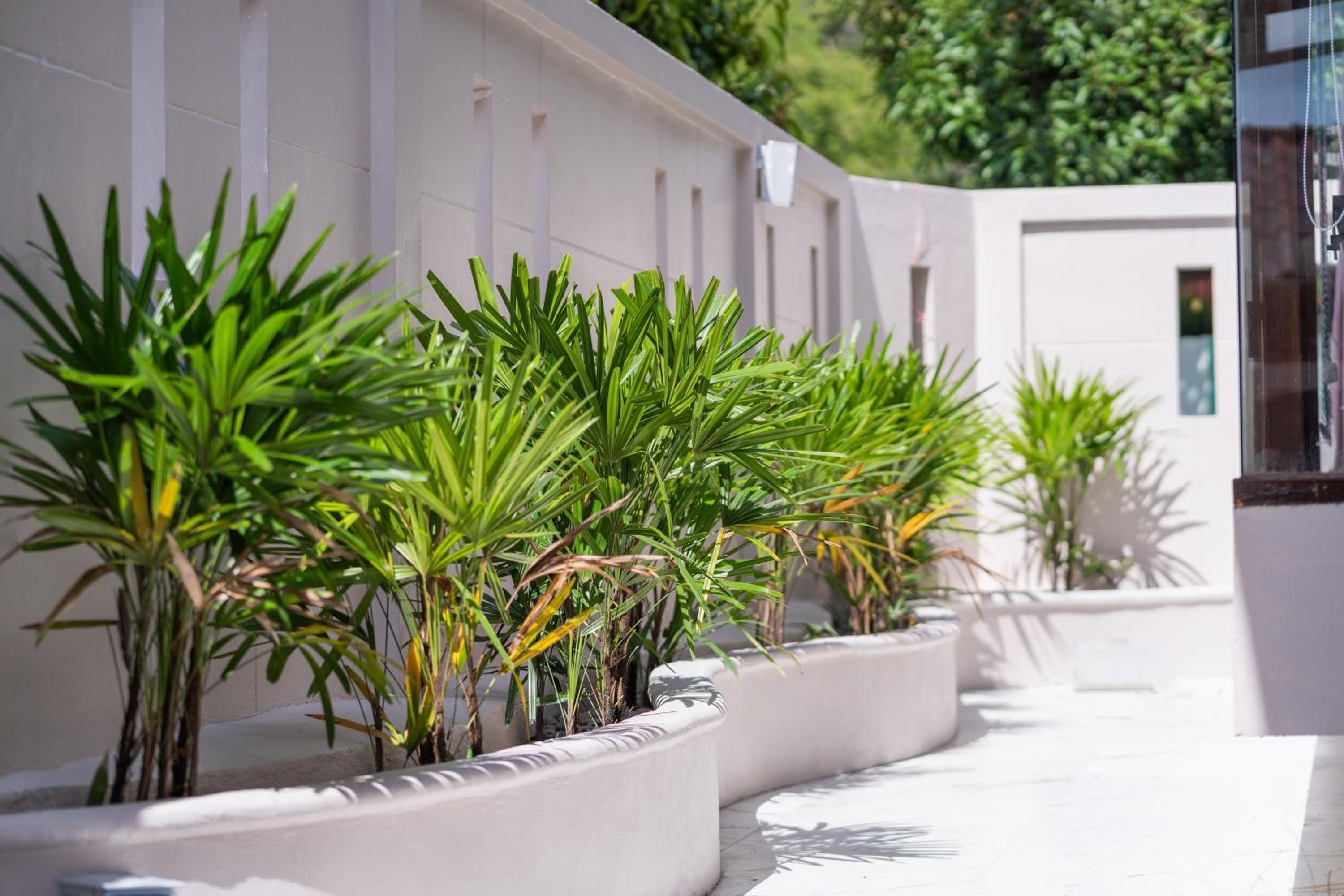 Tropical Pool Villa Thai-modern Villa with an OFFICE