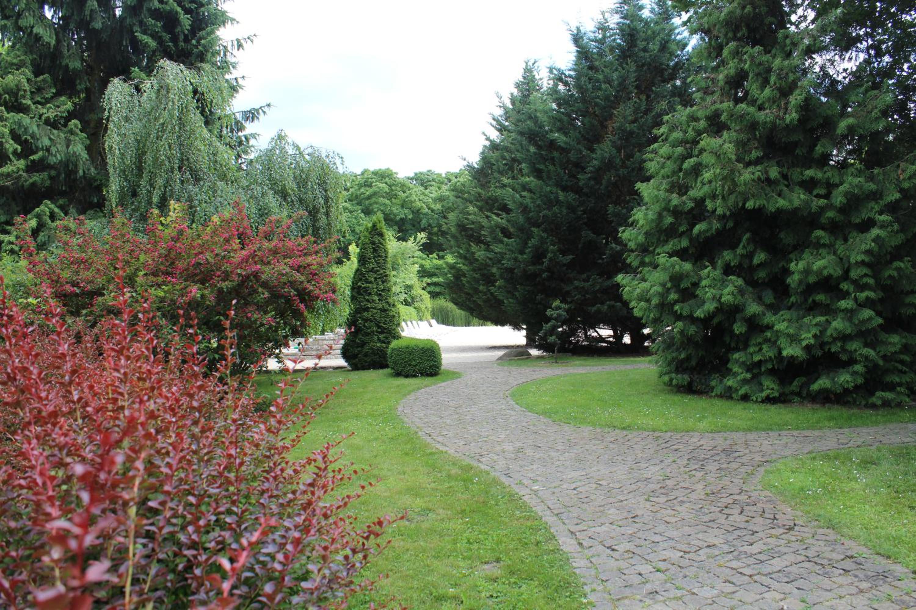 Photo 22