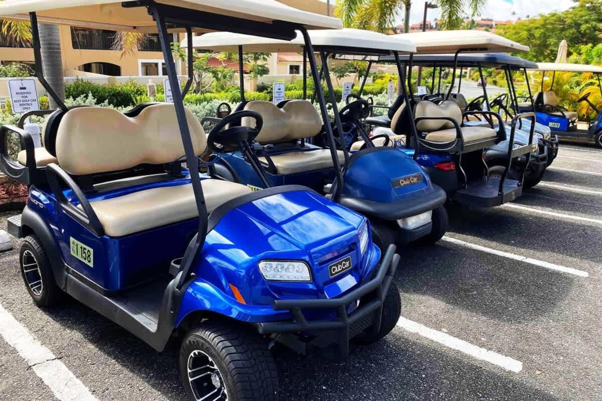 Selah | Travelers Nesters in Palmas Del Mar