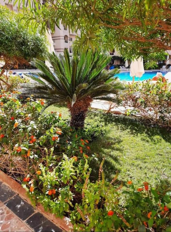 Florenza Khamsin Sea front