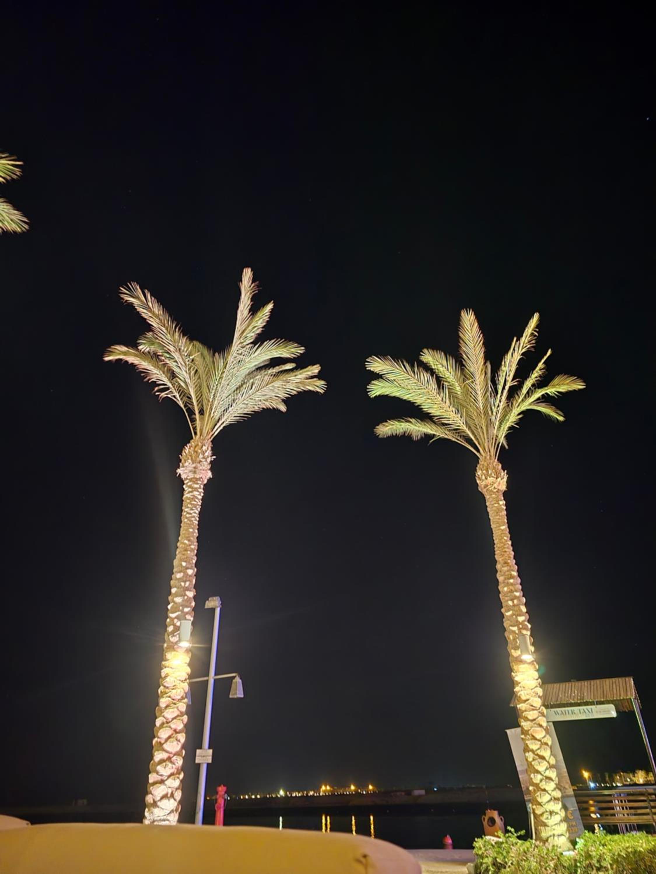 Florenza Khamsin Sea front