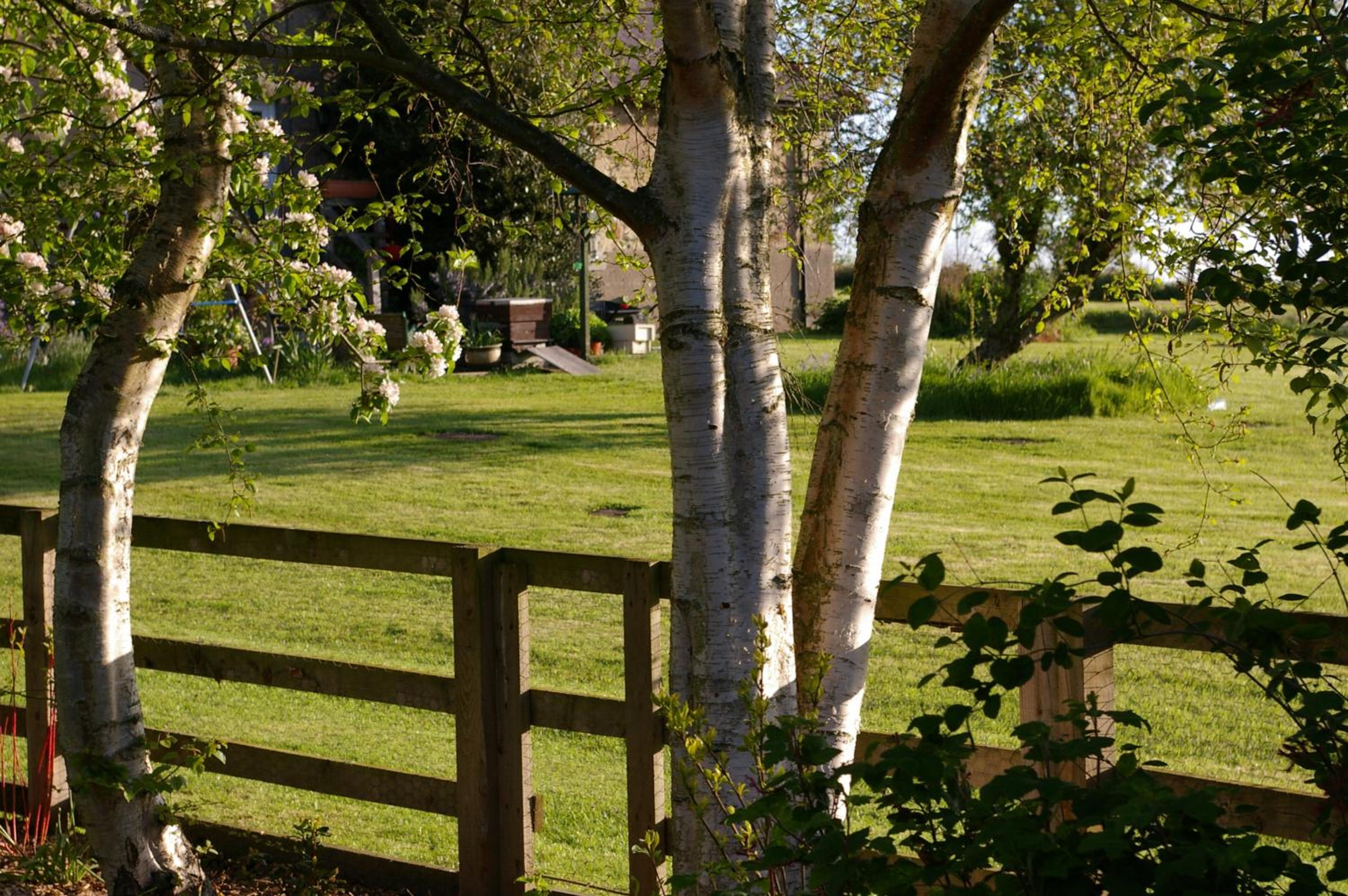 The Cottage view 3