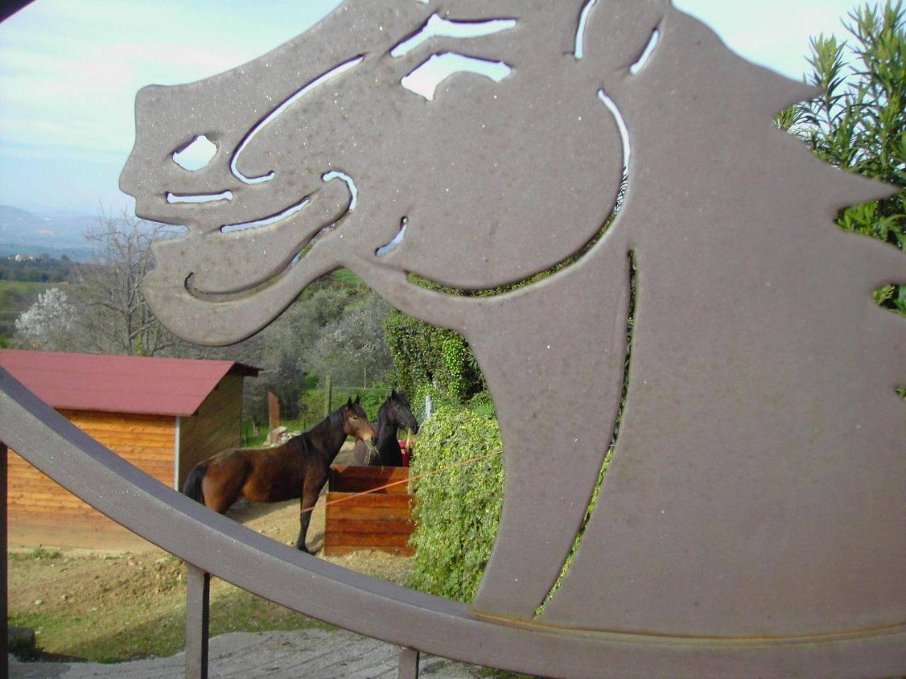 Agriturismo Poggio del Drago