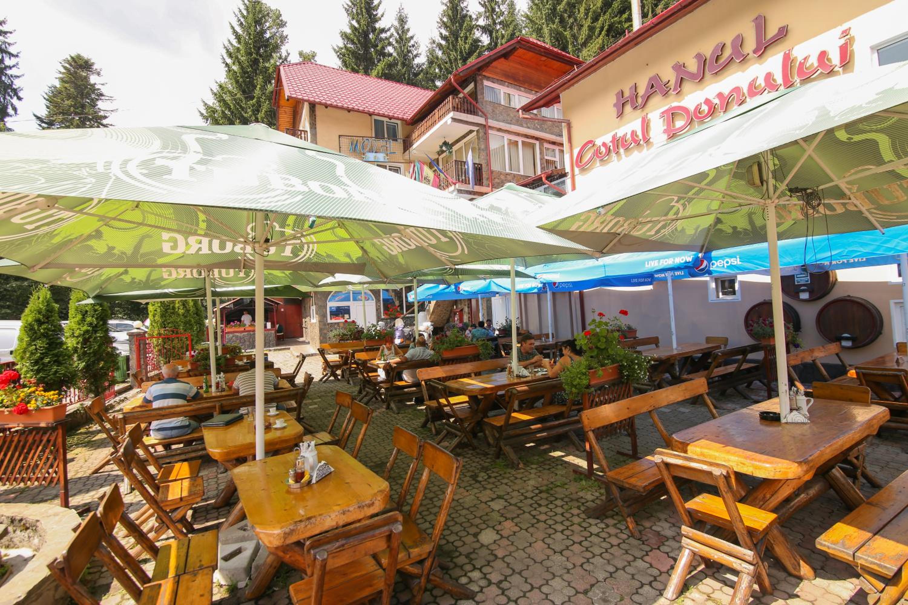 Motel Cotul Donului view 3