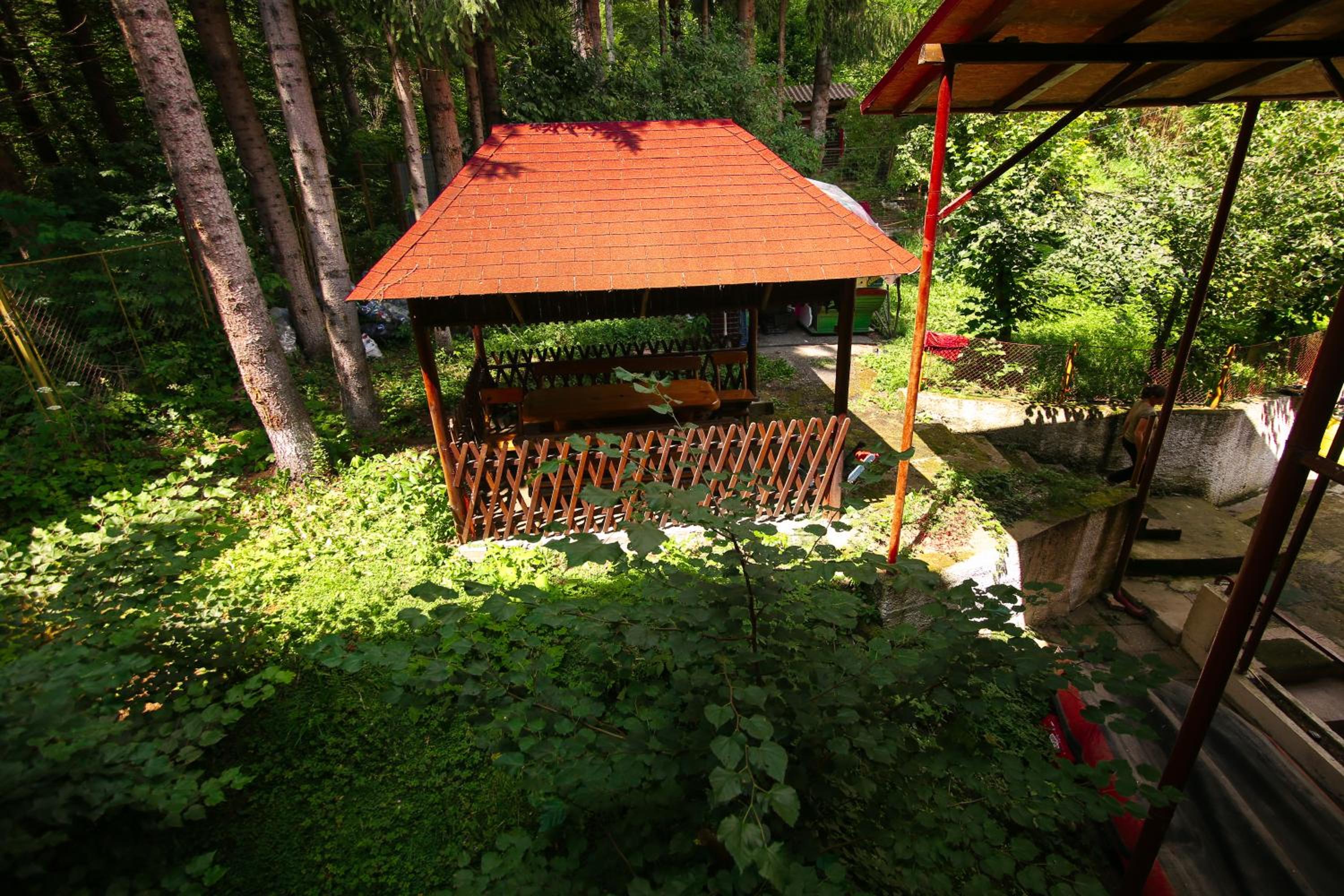 Photo 8