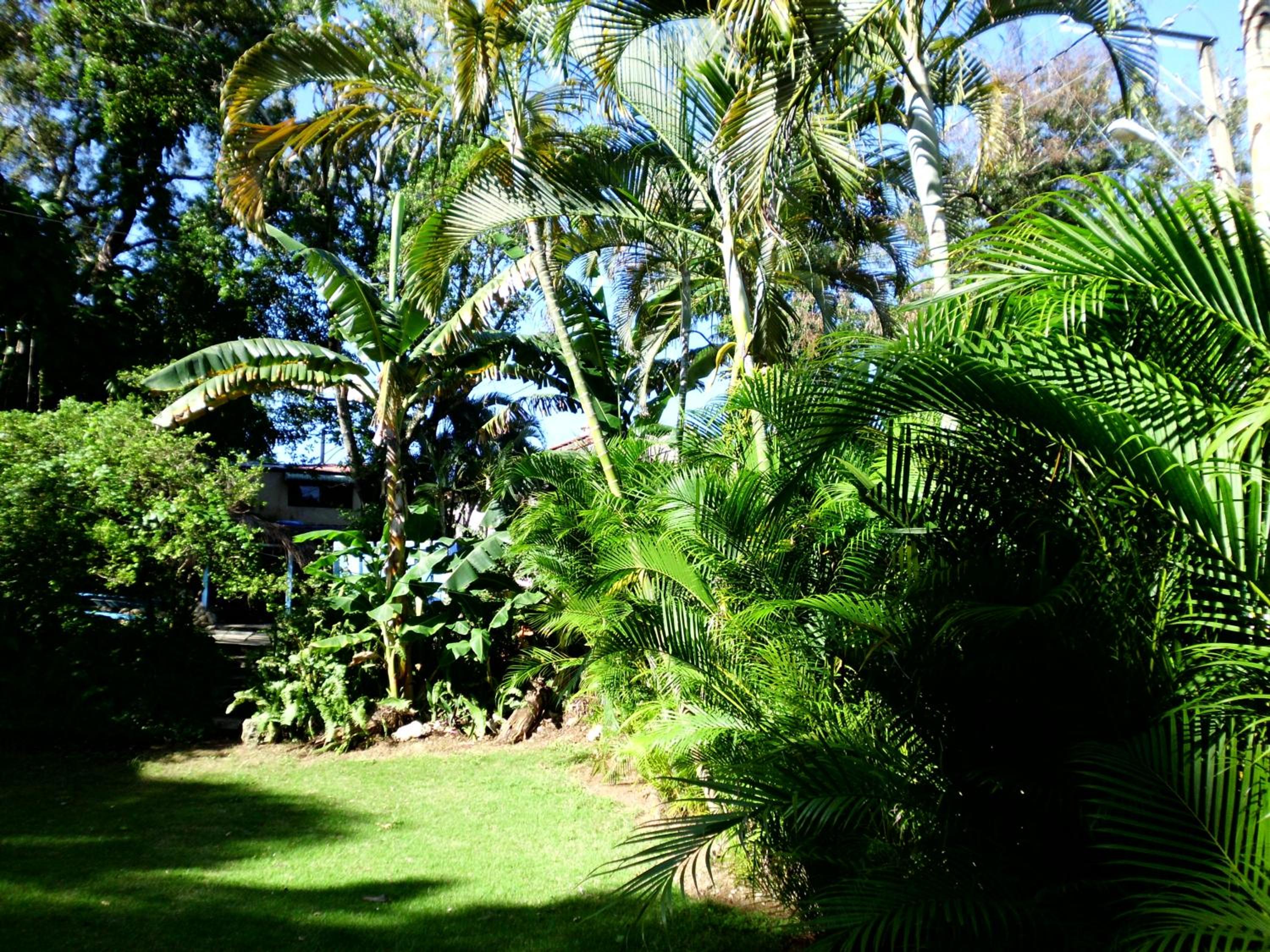 Photo 46