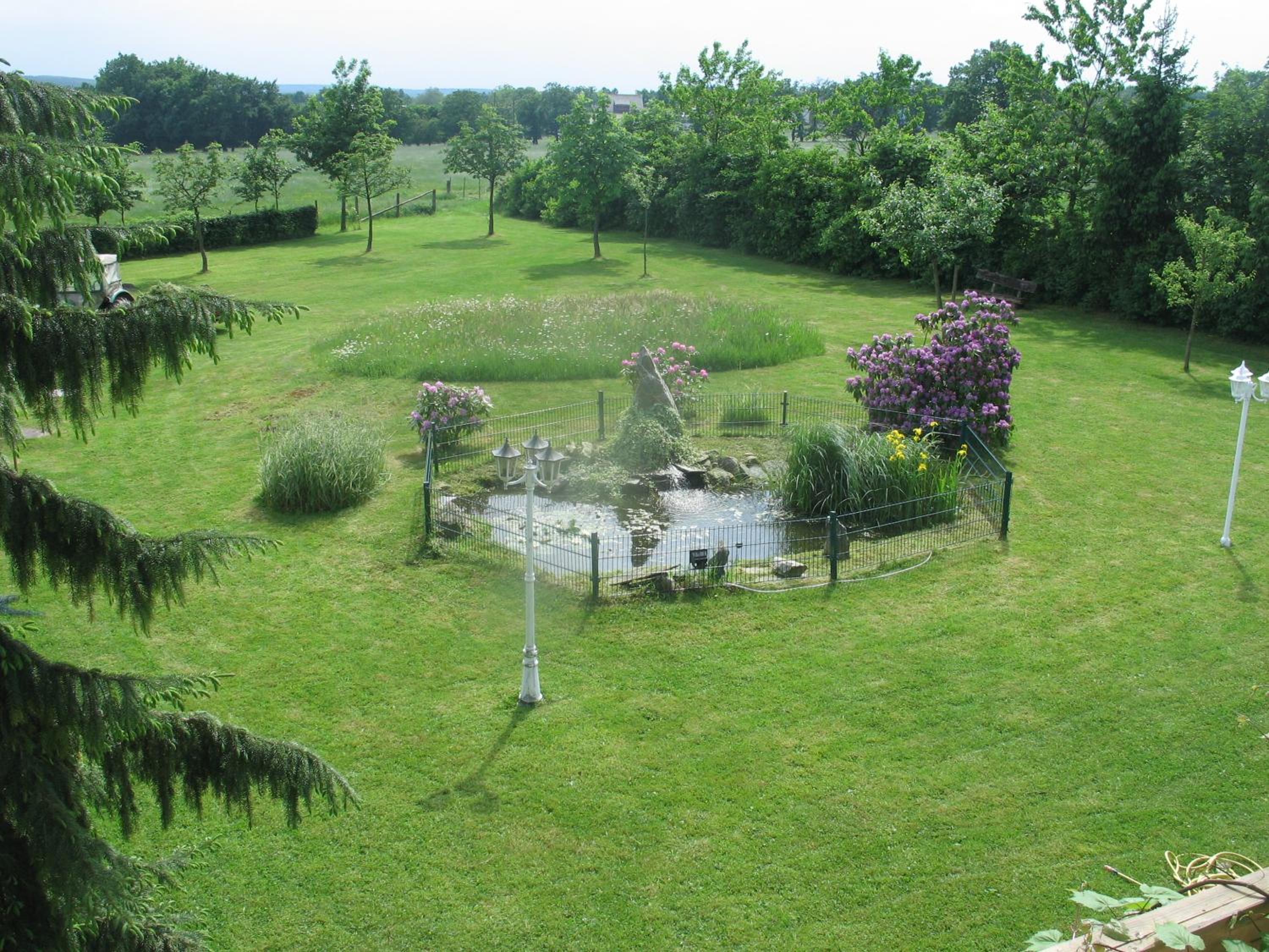 Photo 12