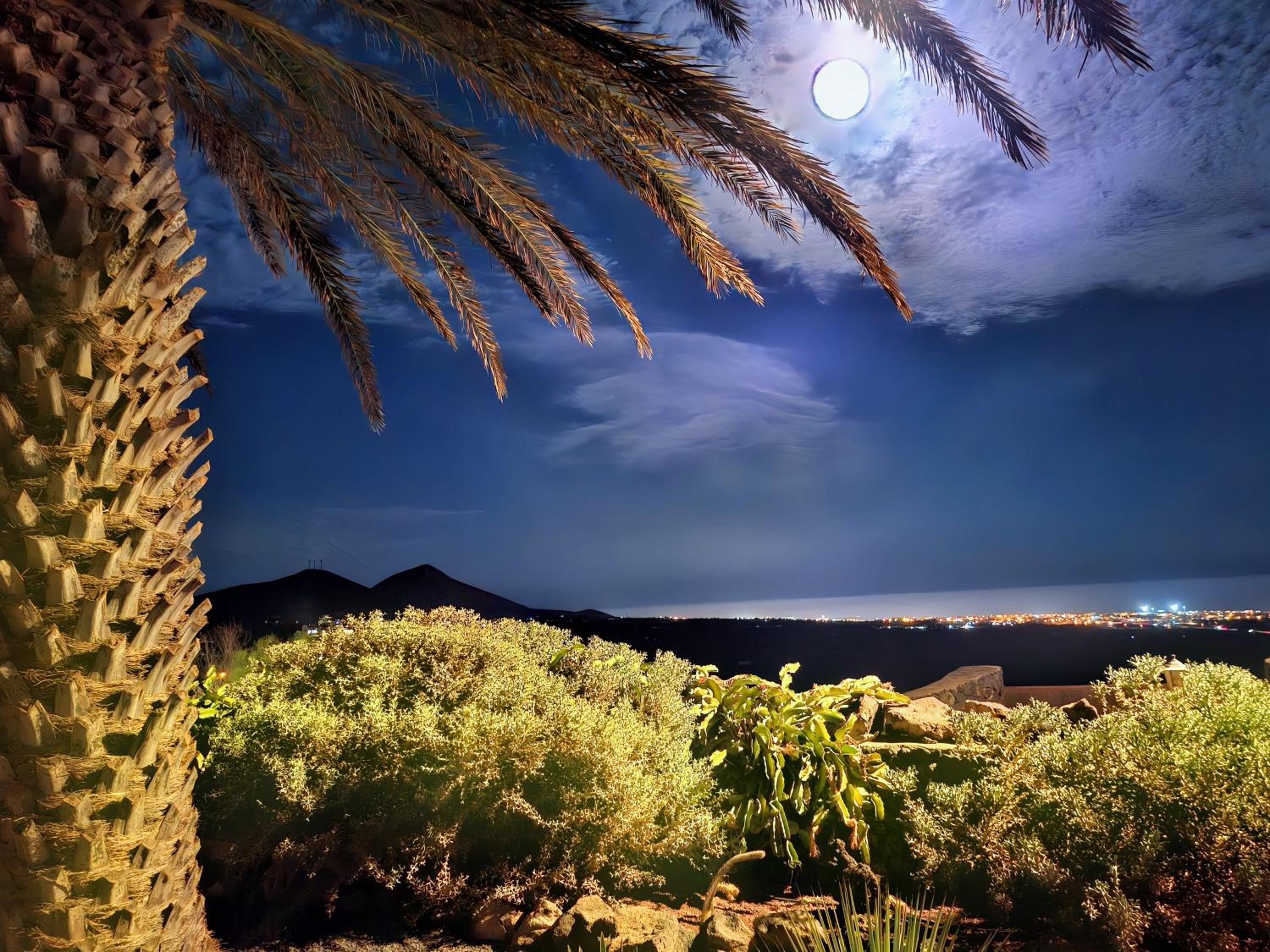 Tiny House MADORA - sea view - amazing garden - quiet location - Bodegas & hiking trails nearby