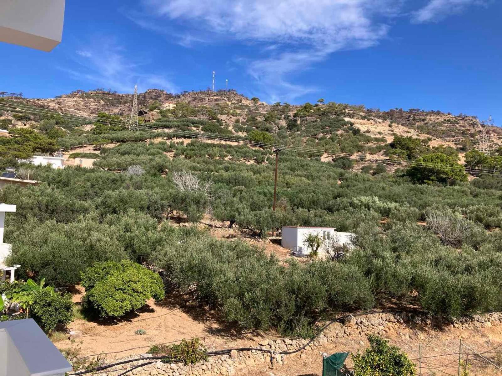 Villa Rania