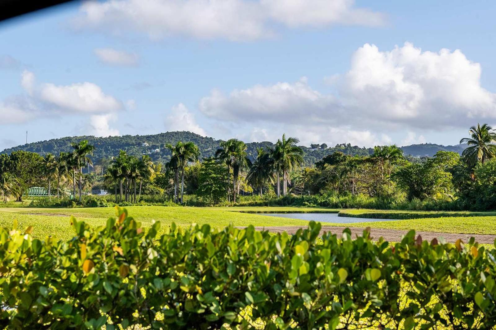 Kyo I Rustic Villa Beach/Golf Paradise in Rio Mar