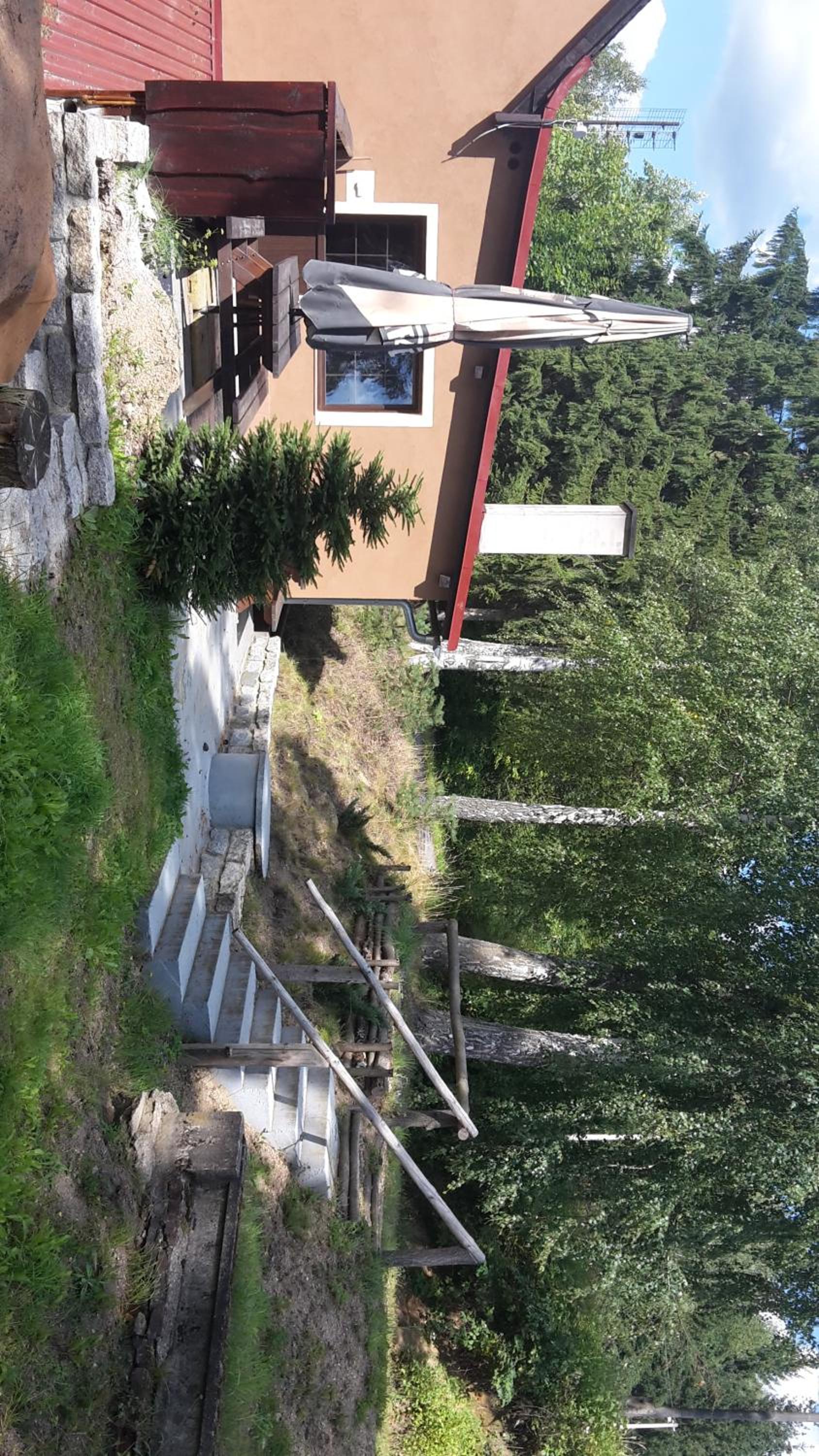 Photo 45
