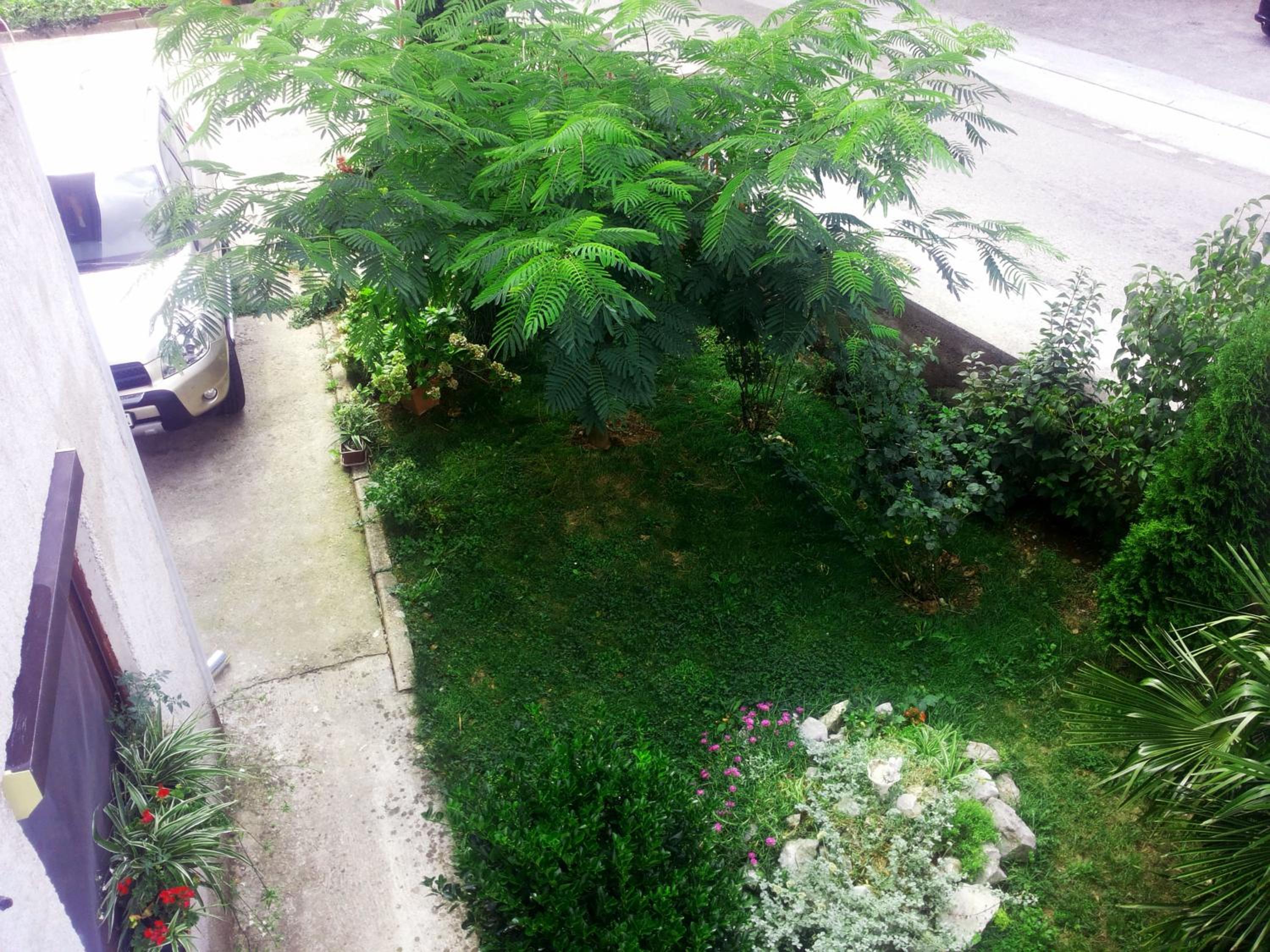 Photo 32