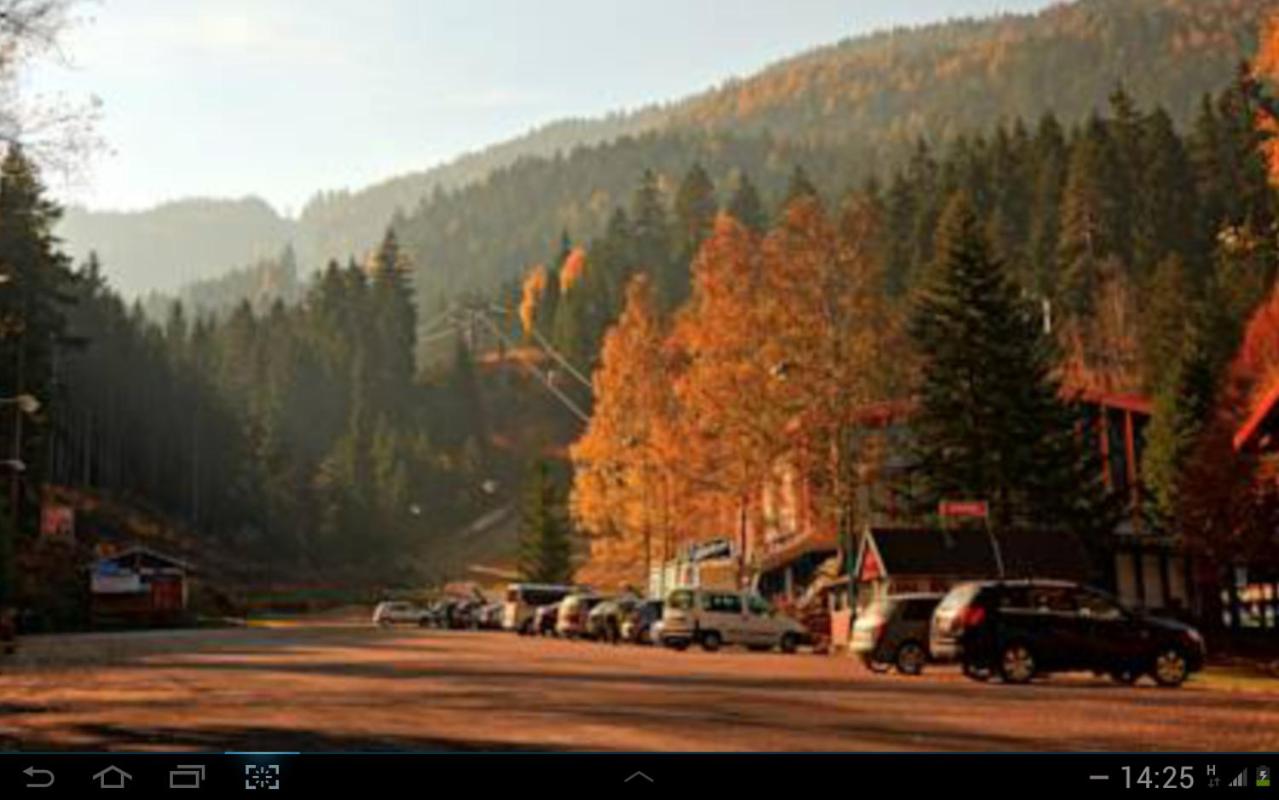 Photo 50