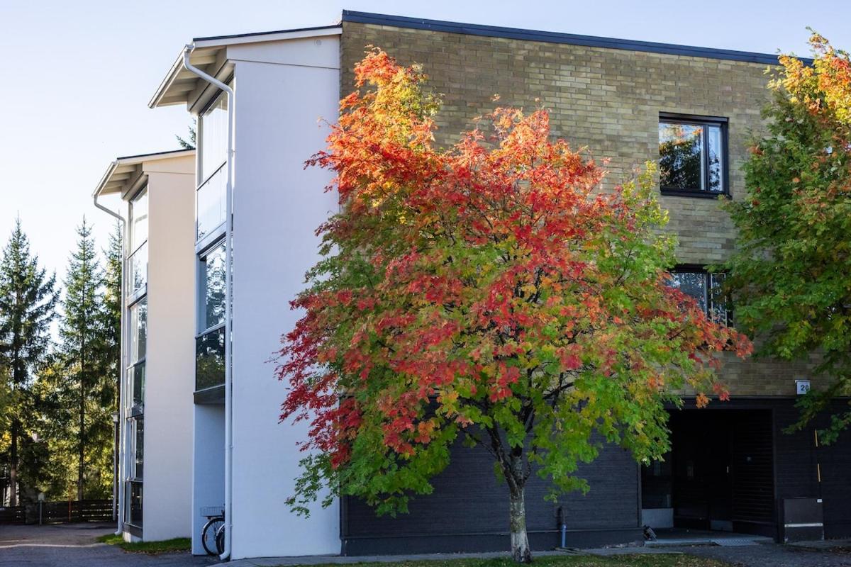 Pluminous Studio- Free Parking- No staircase