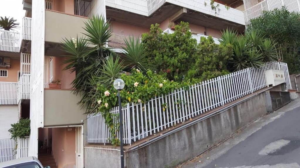 La Sorgente photo 3