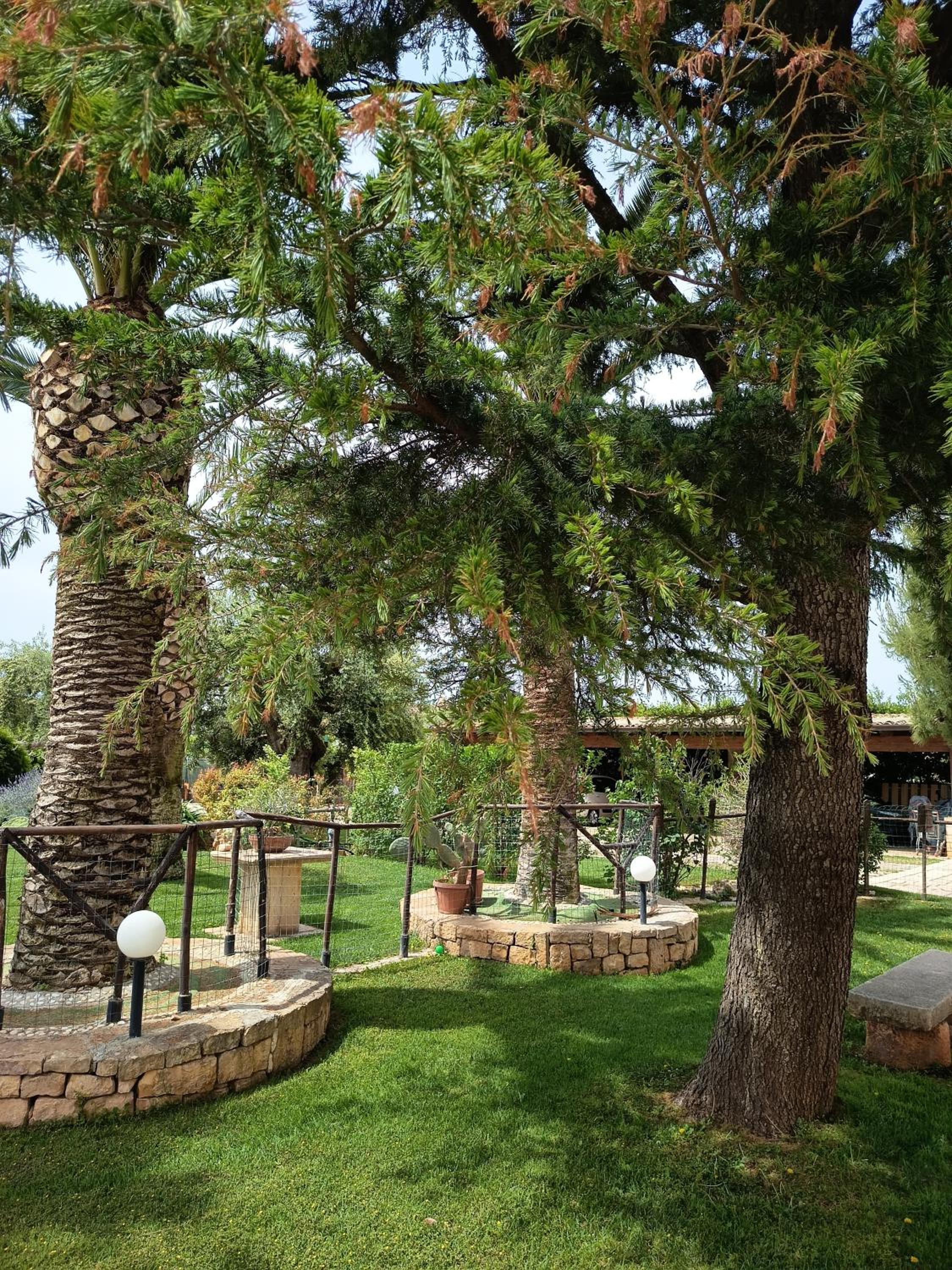 Photo 20