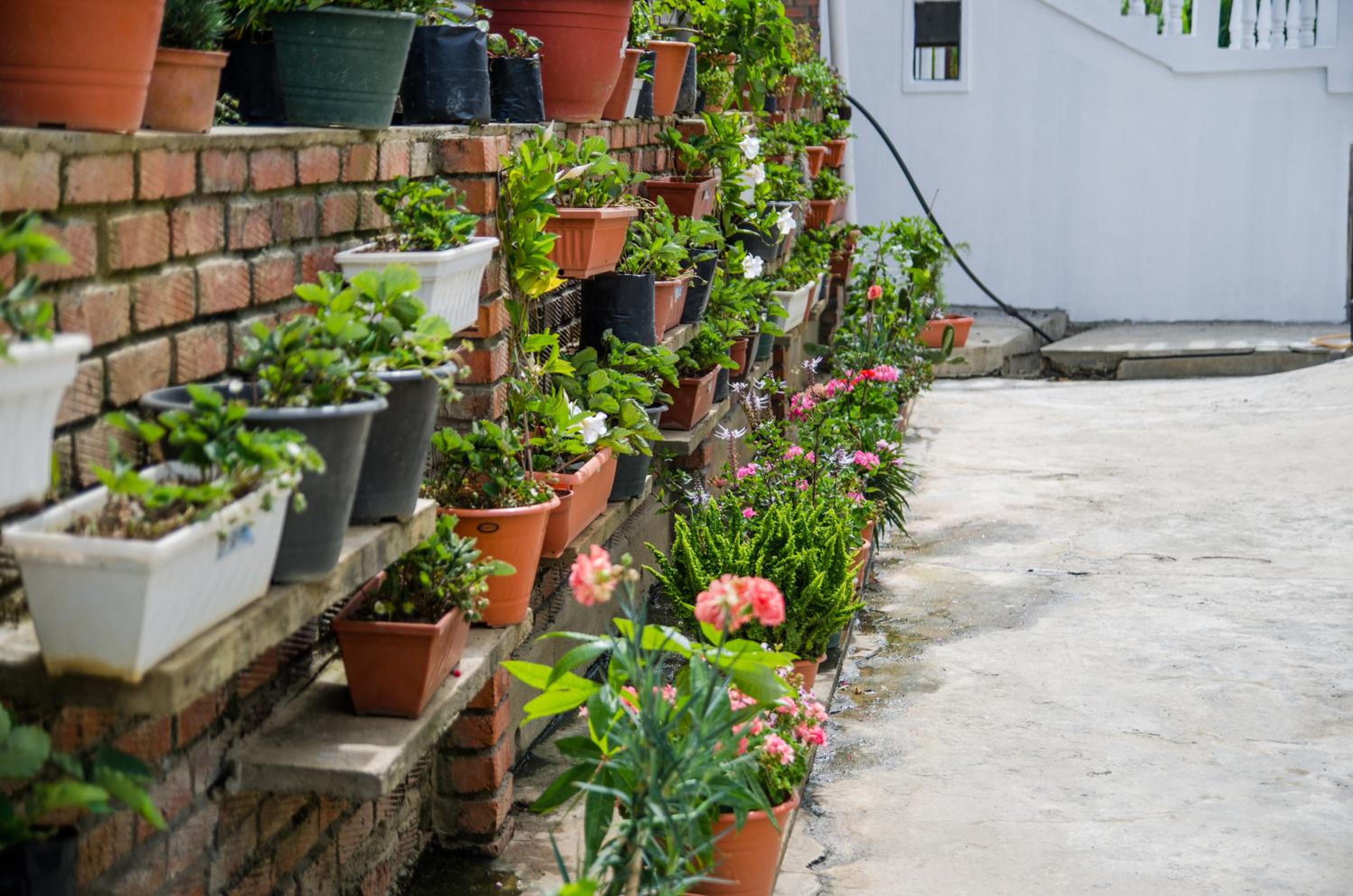 Kundasang Guesthouse photo 6