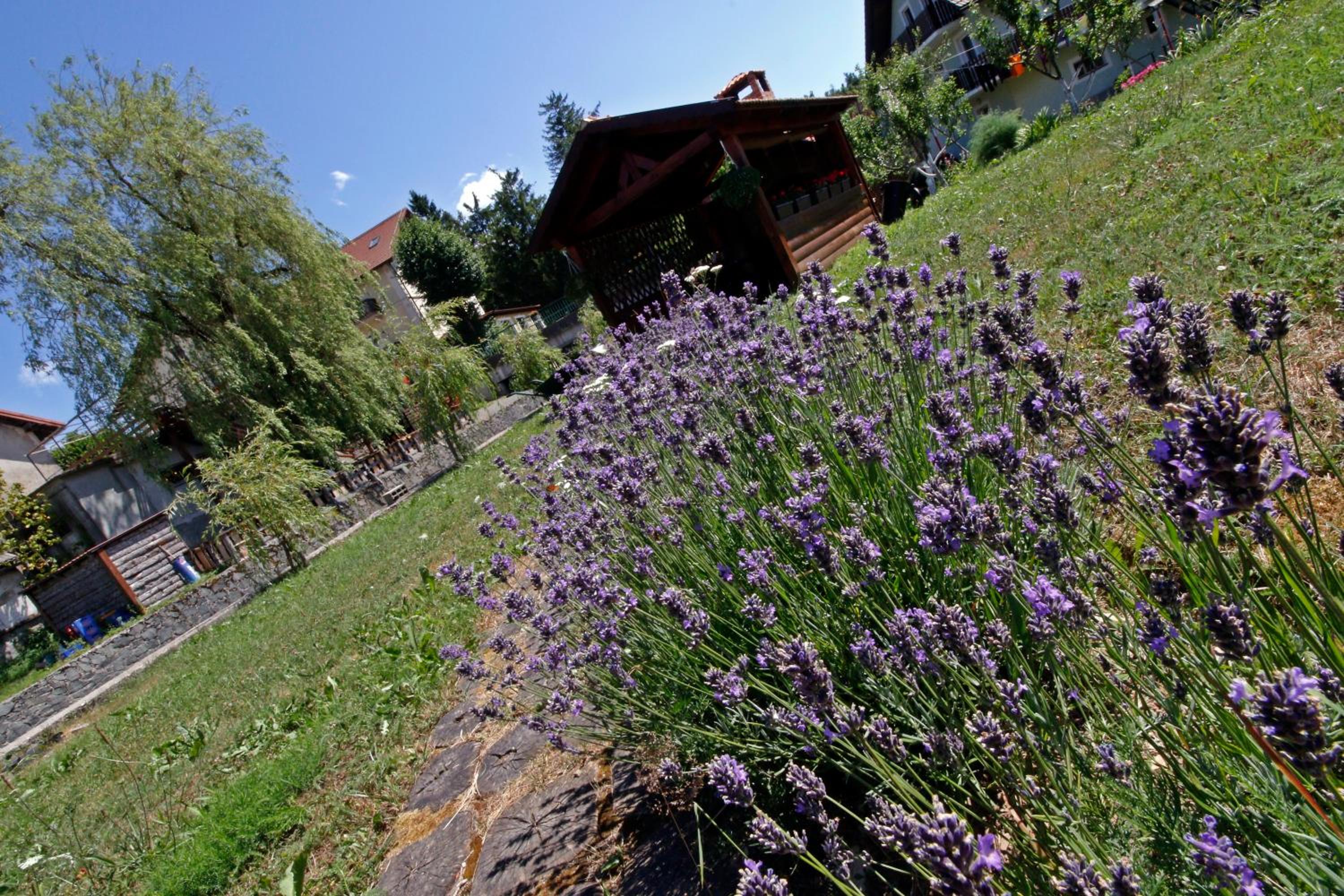 Photo 45