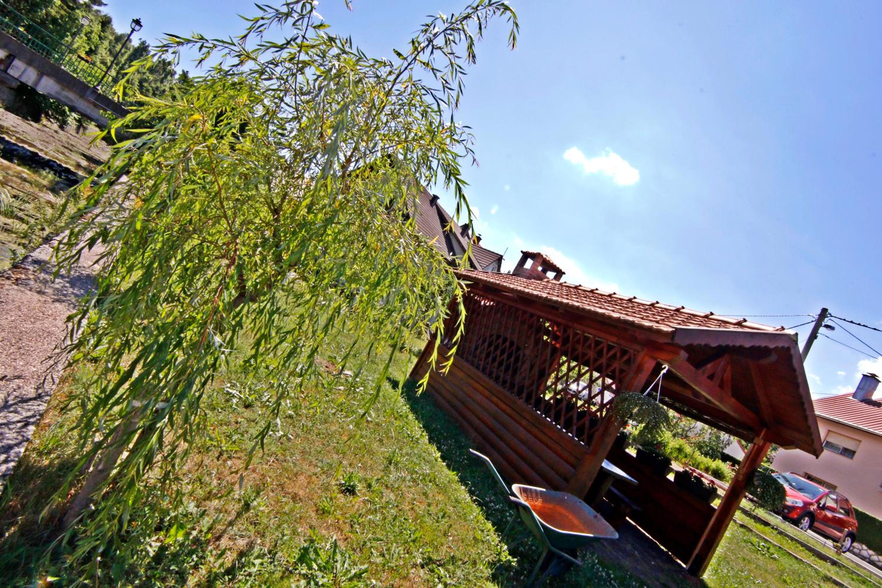 Photo 11