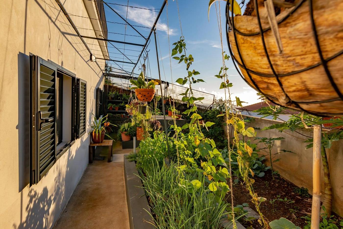 Terrace Villa with Sea View