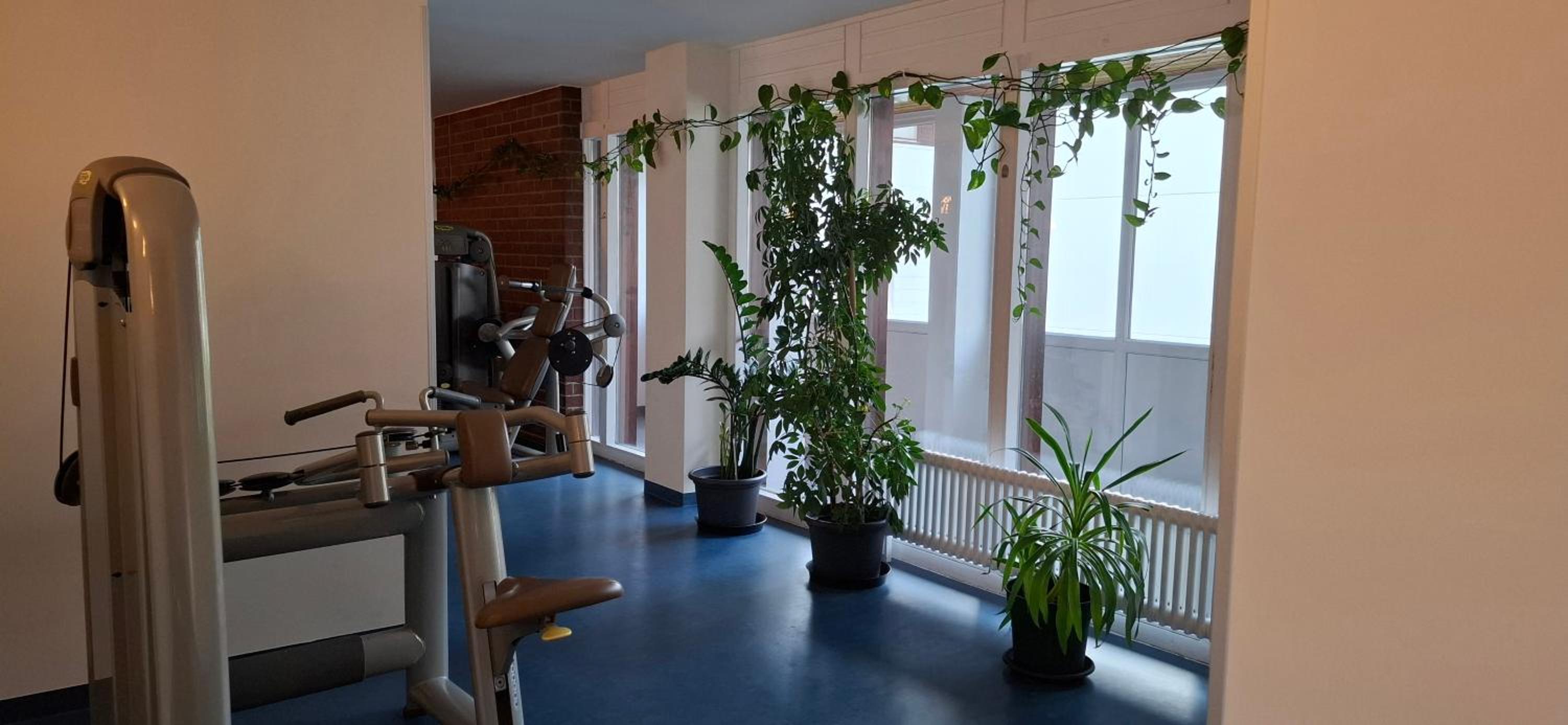 Apartment Wohlfühl-Oase mit Pool & Sauna, aktivCard inkl