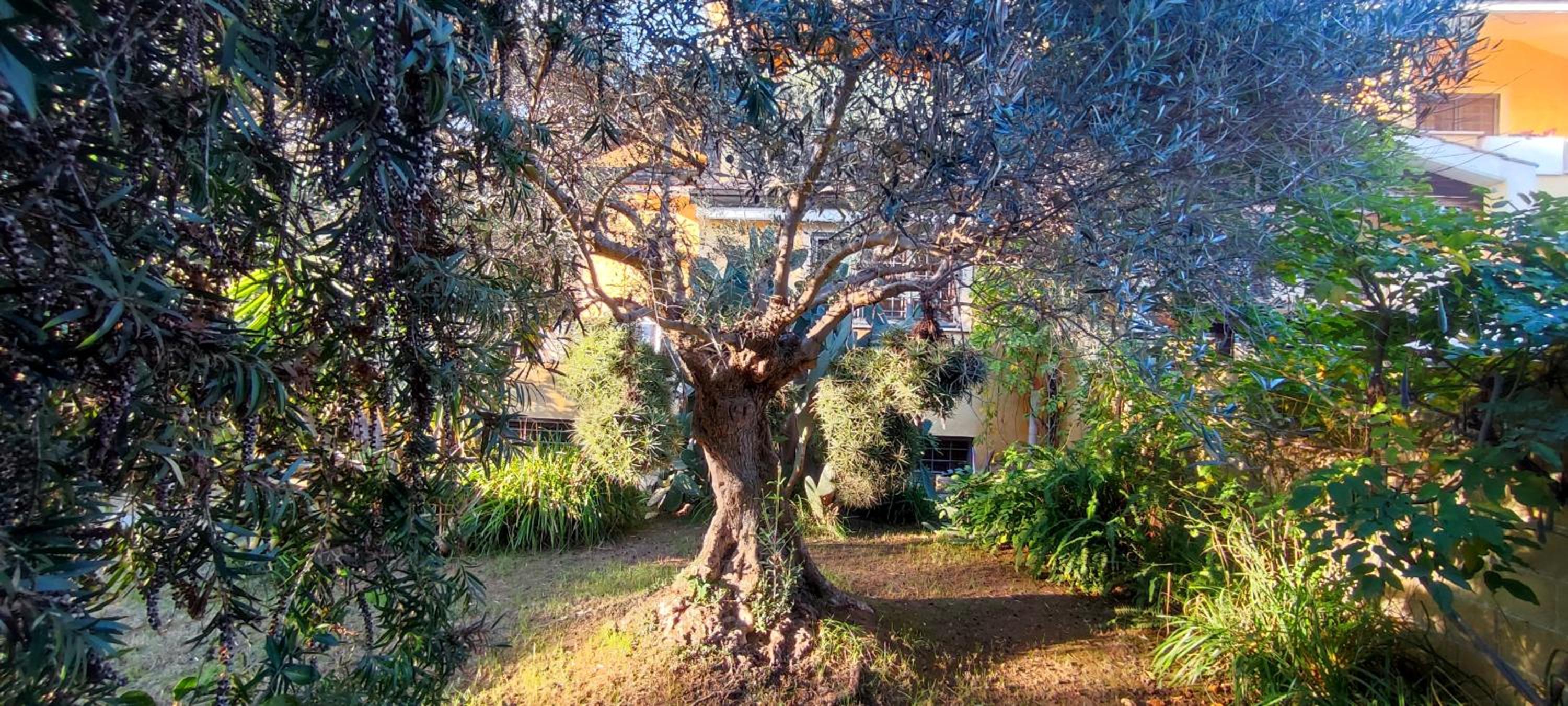 Ostia Antica Country Garden Villetta