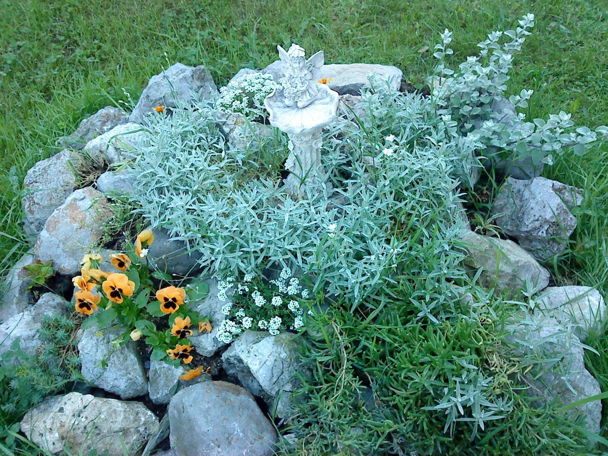 Photo 31