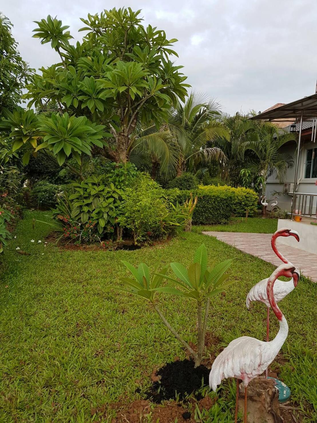 Nuch's Apple Guest House