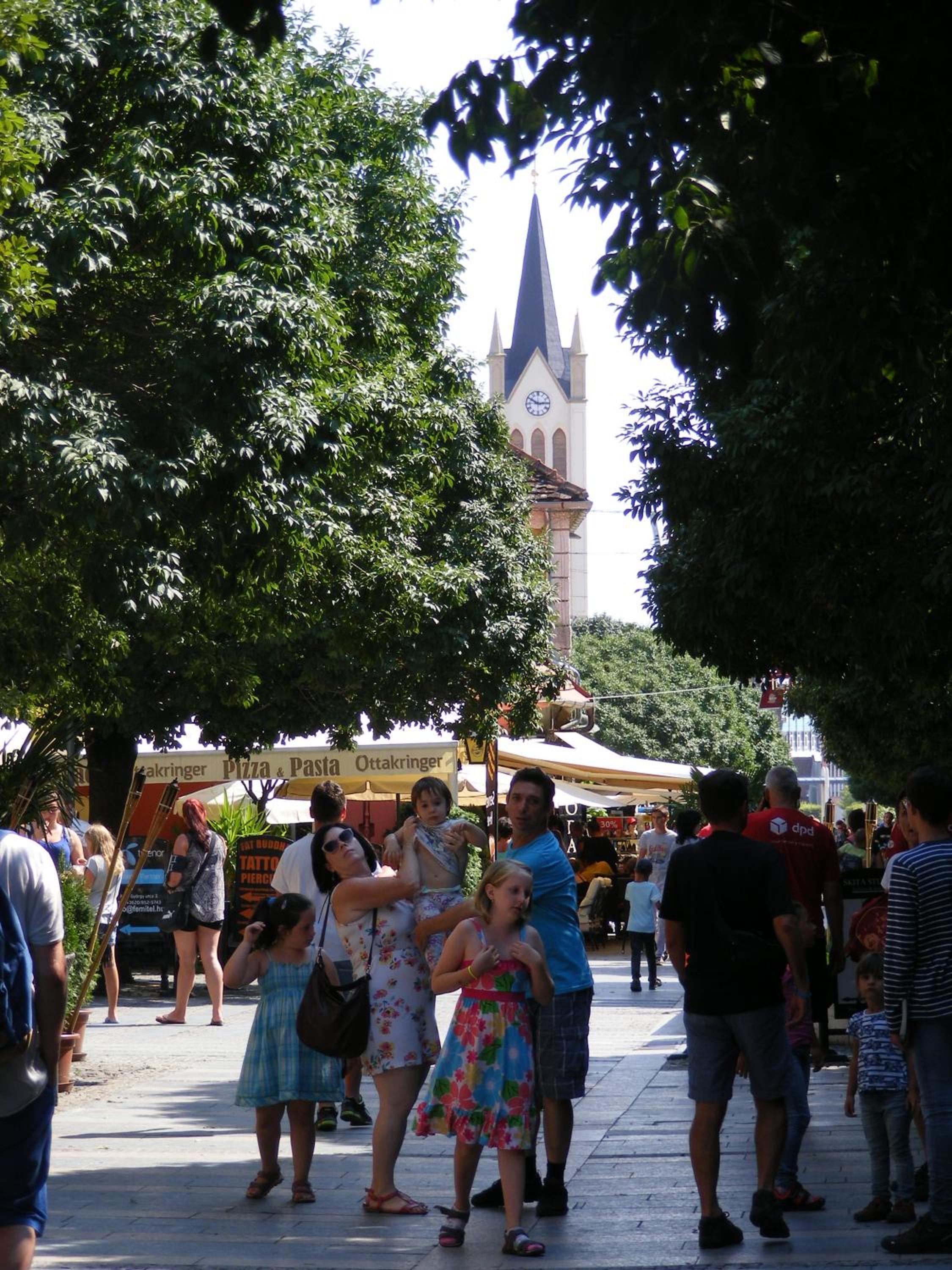 Photo 51
