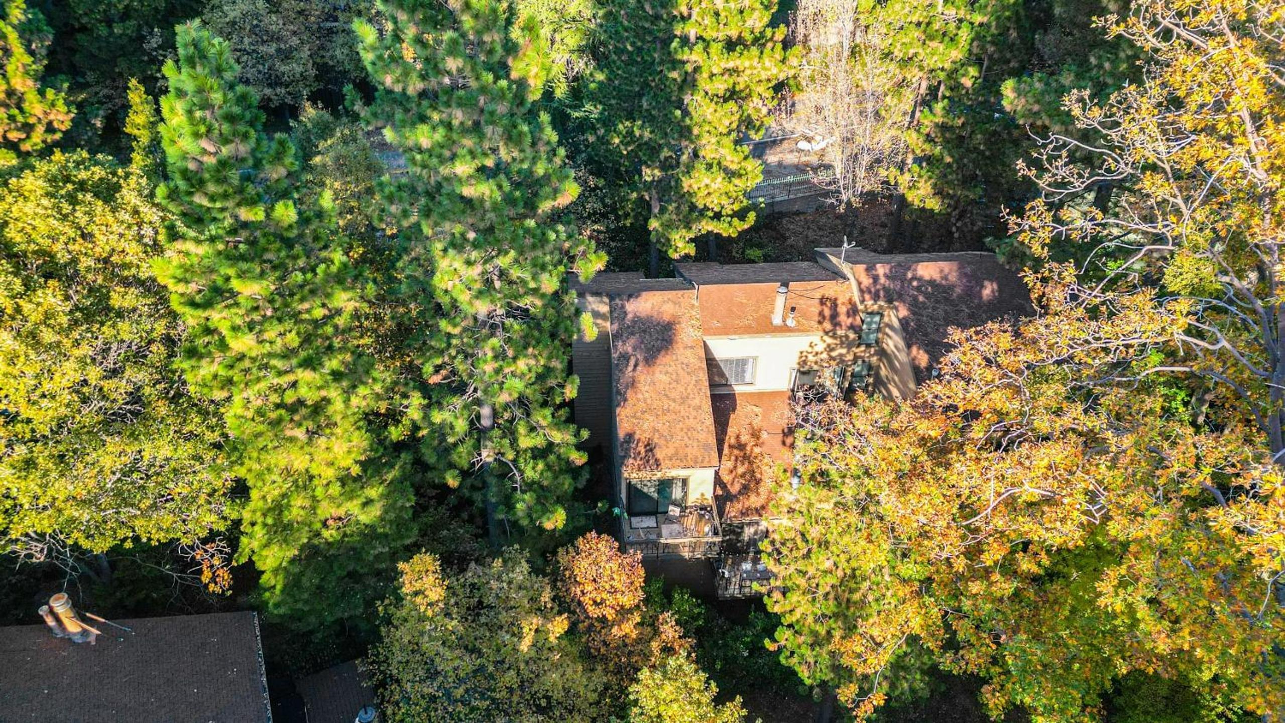 Peaceful Mountain Cabin w Decks Private Beach Access Pine Haven by AvantStay