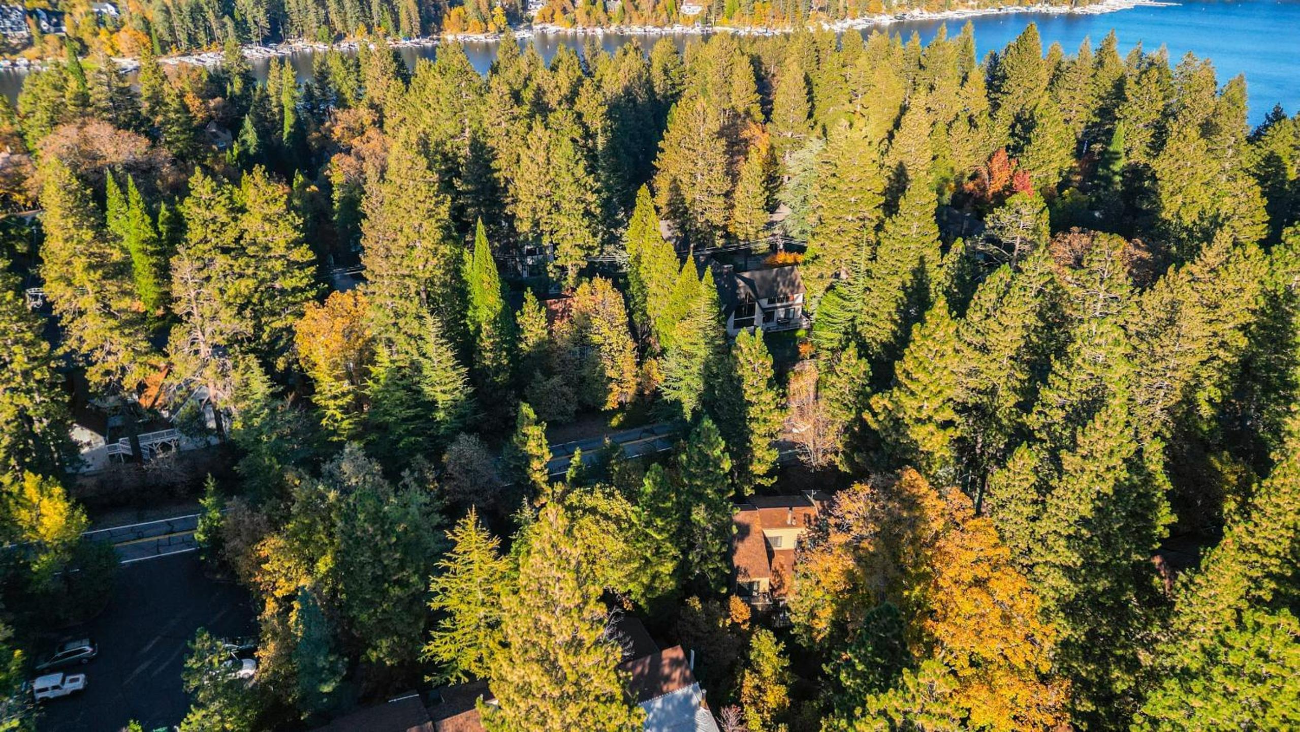 Peaceful Mountain Cabin w Decks Private Beach Access Pine Haven by AvantStay