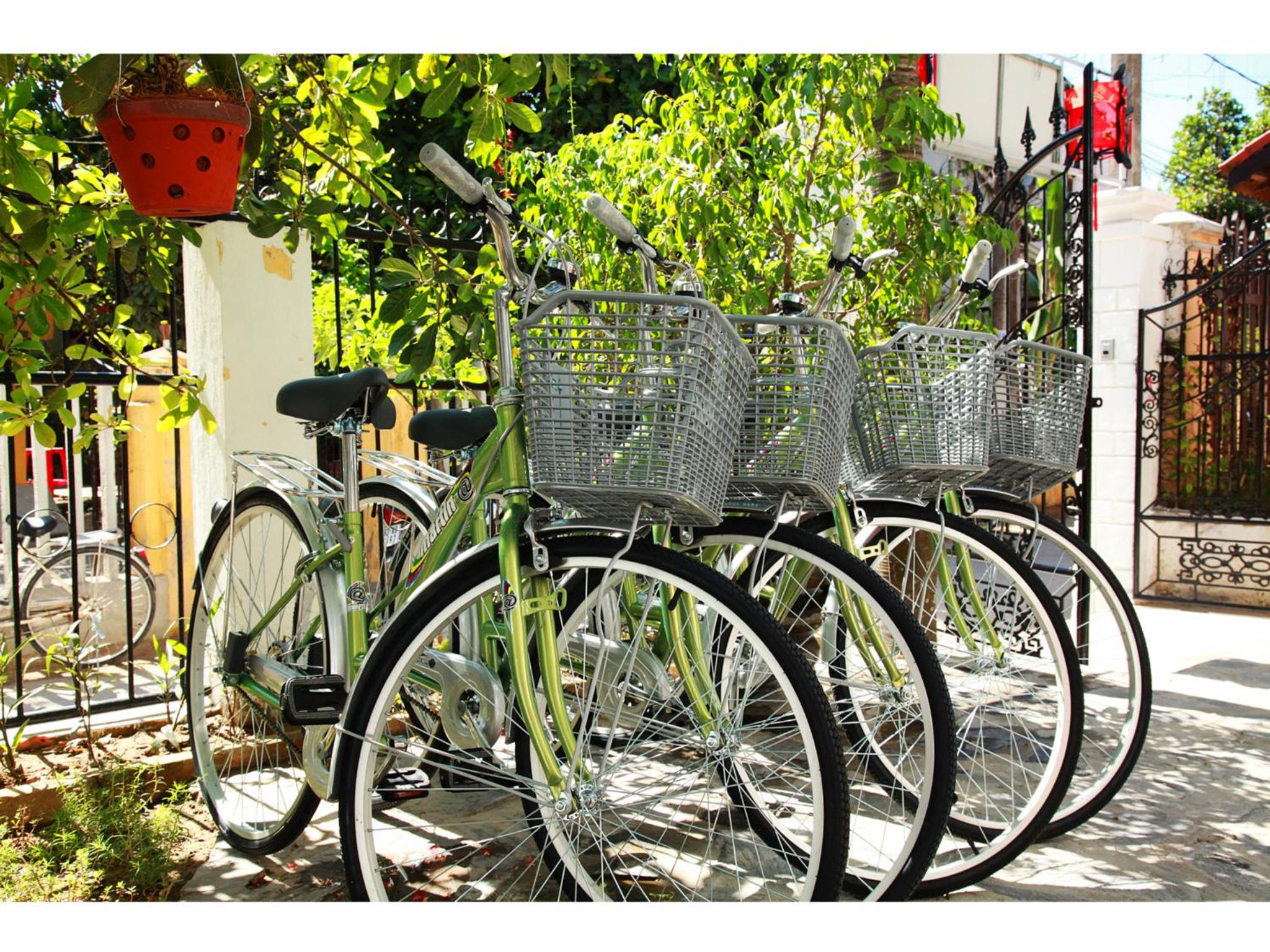 Sunny Garden Homestay