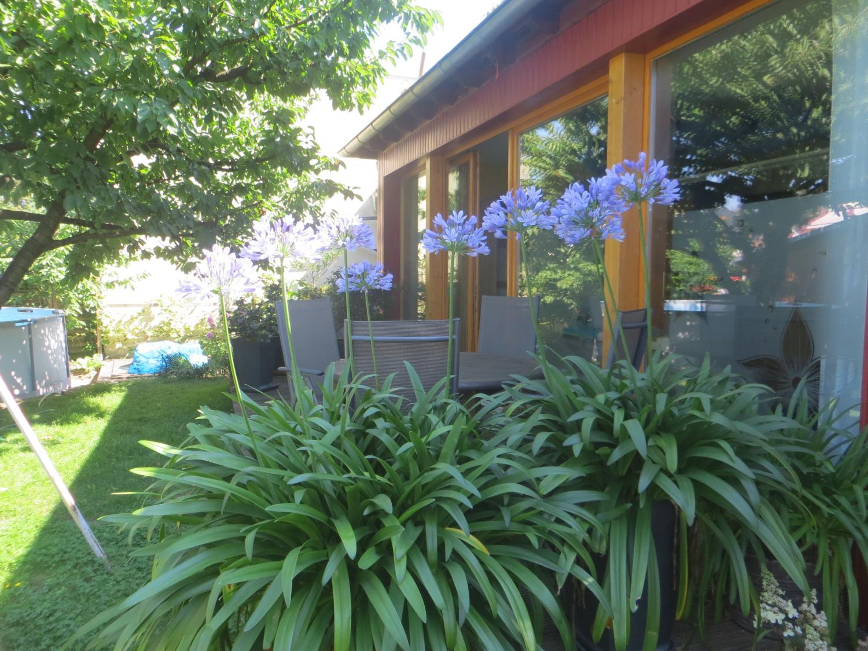 Dresden Vacations - Gartenhaus Klotzsche - Property Image 17