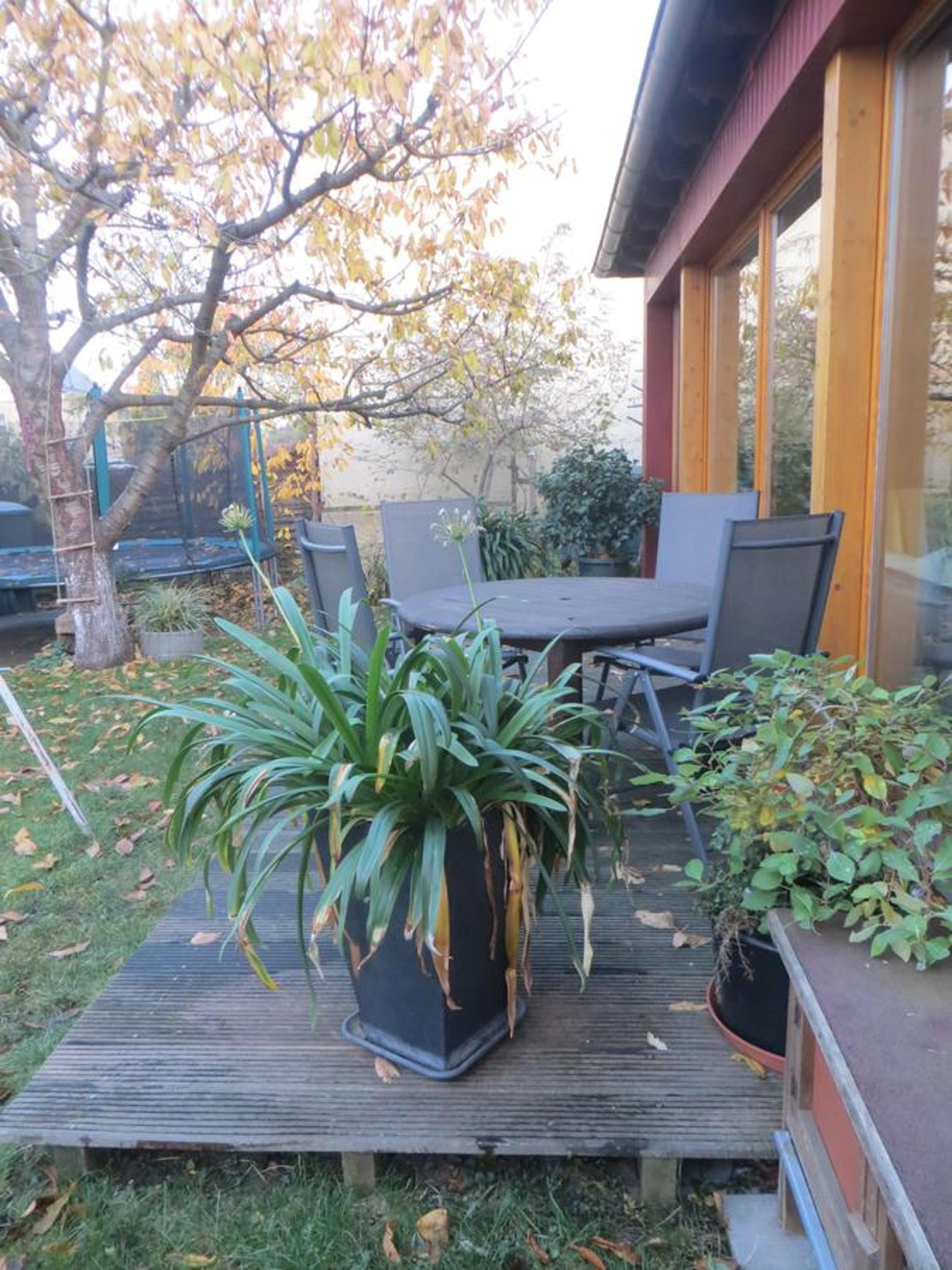 Dresden Vacations - Gartenhaus Klotzsche - Property Image 19